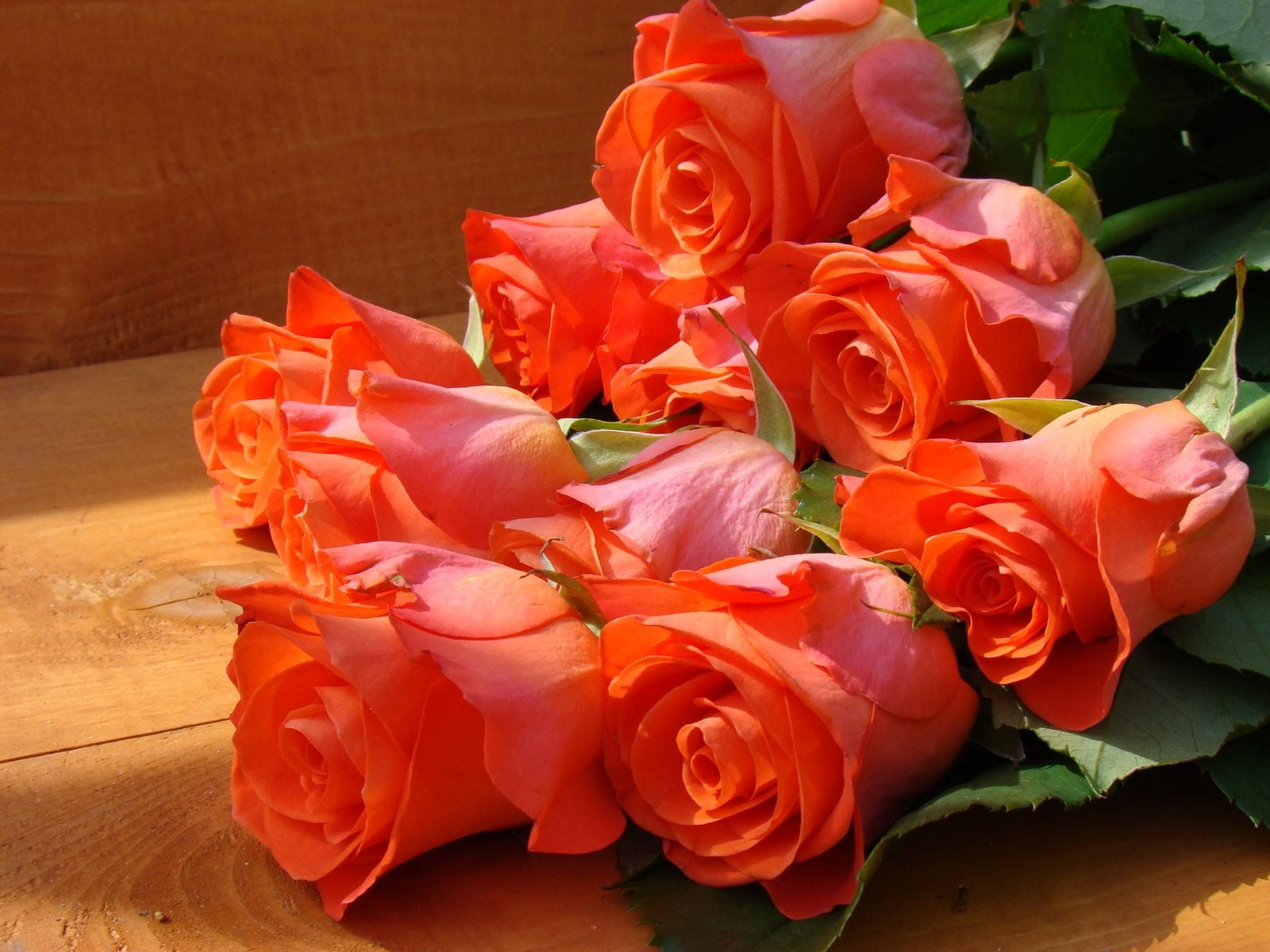 flower Head, table, rose, arrangement, leaf, valentines Day - Holiday, yellow, rose - Flower, freshness, beauty In Nature, day, high angle view, bouquet, HD Wallpaper