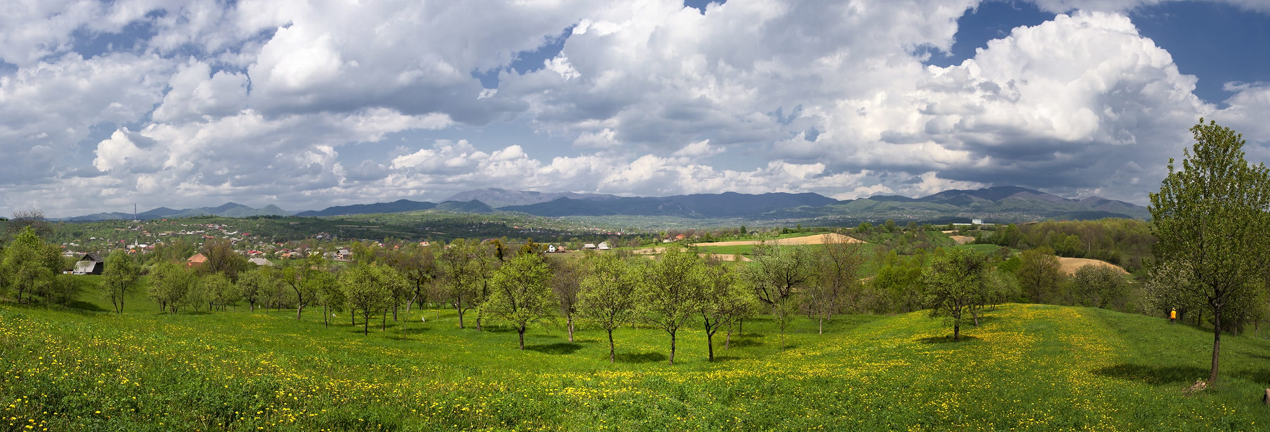 landscape, country, scenery, environment, cloud - sky, sky, vacation, nature, field, farm landscape, green color, countryside, day, panorama, 2K, green, HD Wallpaper