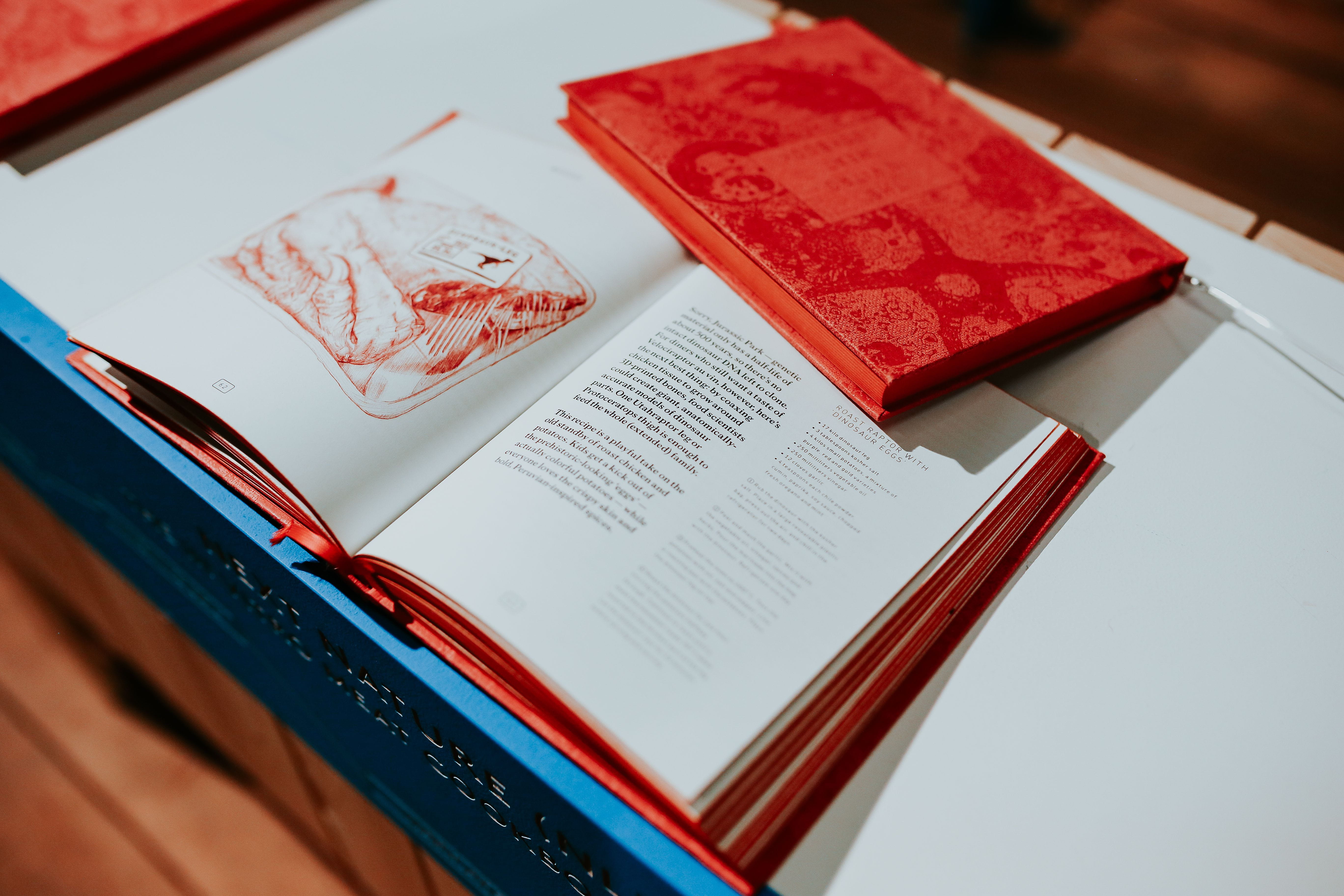 furniture, selective focus, architecture, literature, close-up, indoors, publication, open, white, Red book, learning, reading, no people, red, high angle view, HD Wallpaper