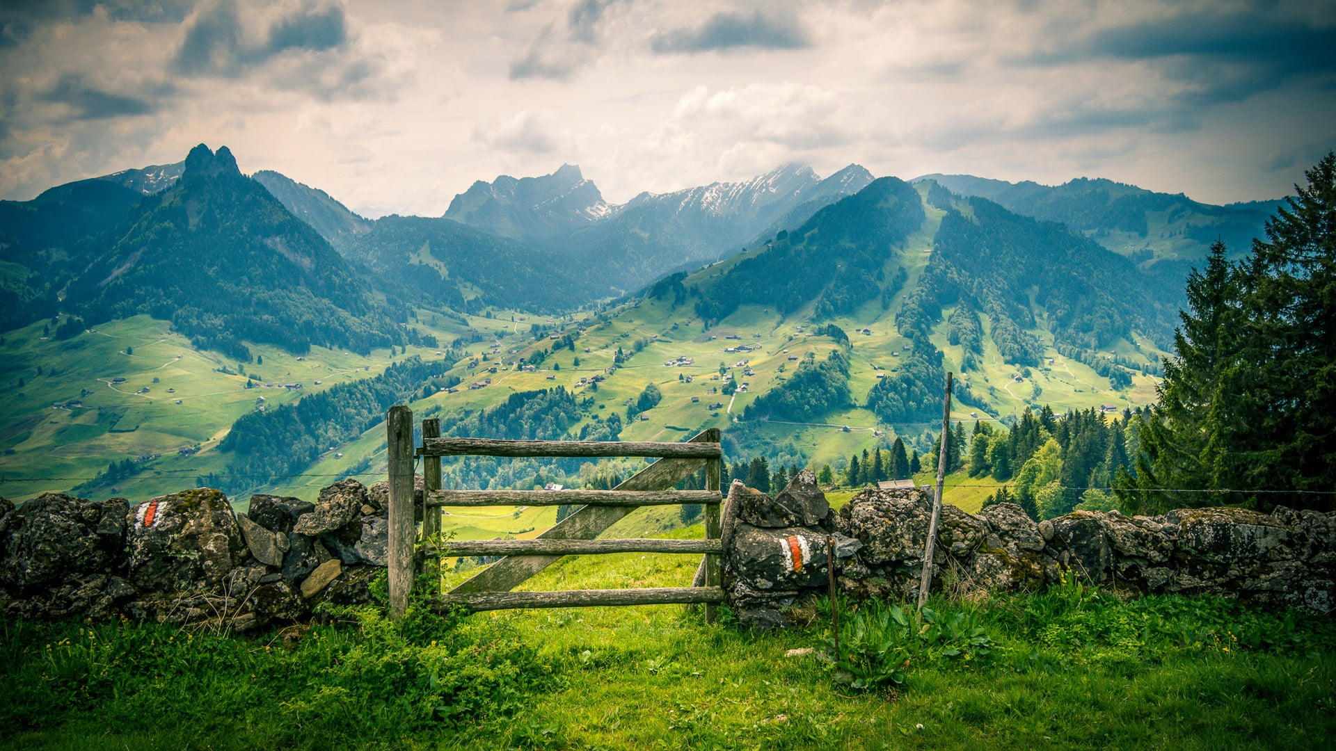 grass, highland, landscape, trees, no people, cloud, outdoor, environment, outdoors, meadow, vacation, plant, mountains, forest, beauty in nature, island, HD Wallpaper