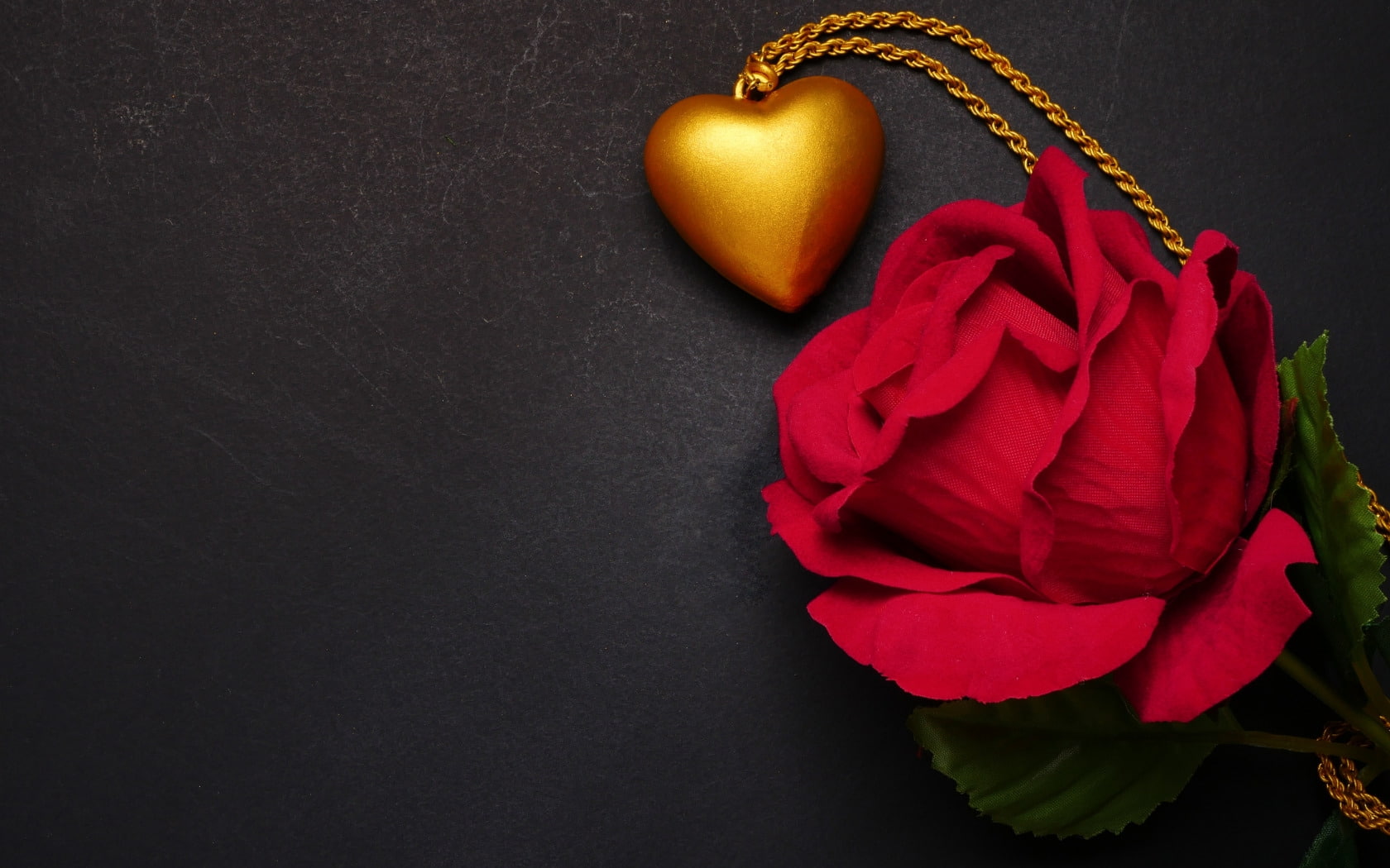 petal, inflorescence, flowering plant, :-), plant, freshness, copy space, studio shot, no people, jewel, beauty in nature, black background, pendant, fragility, HD Wallpaper