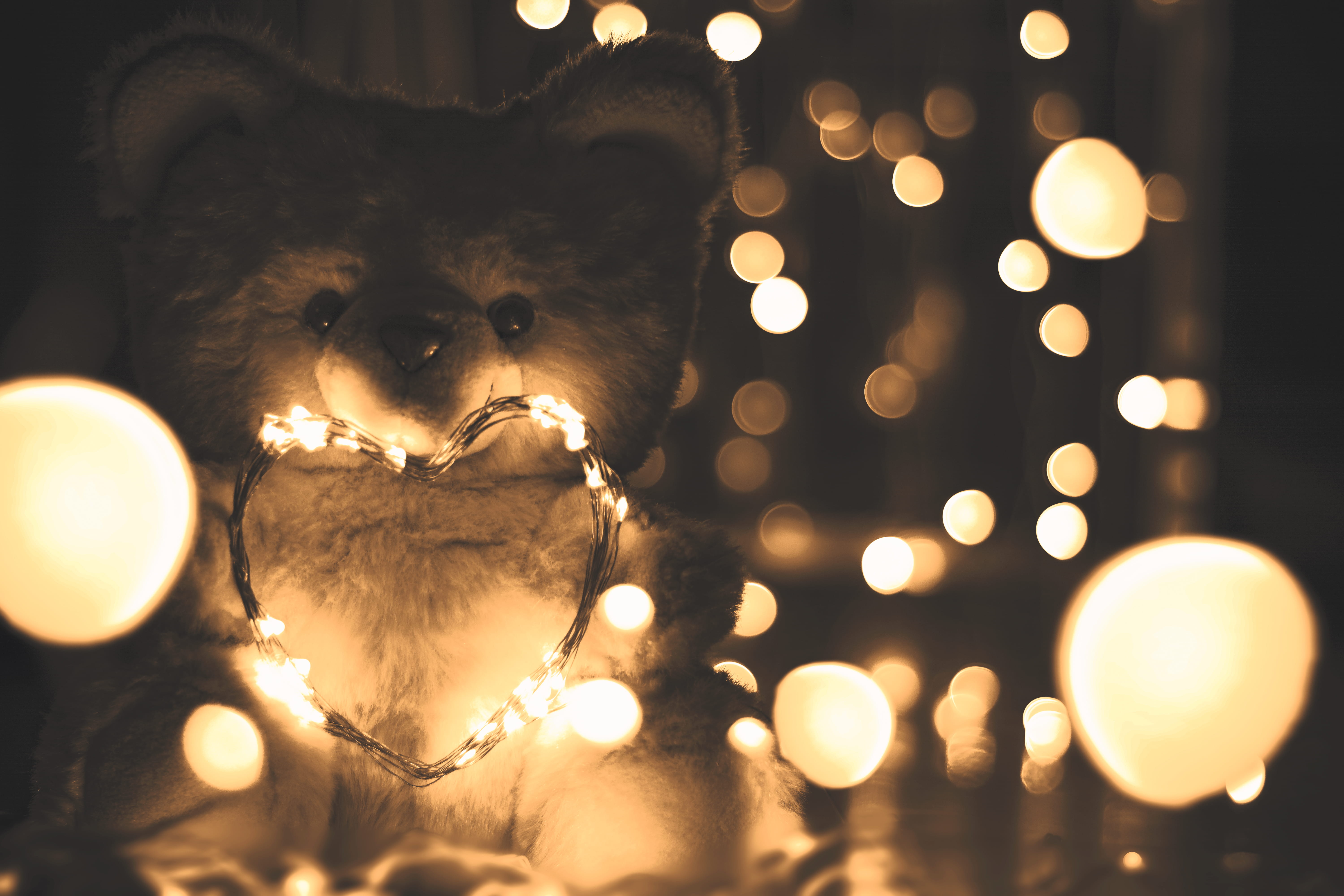 night, light, electric lamp, heart, holiday, decoration, valentines day, indoors, animal, love, celebration, white teddy bear, animal themes, illuminated, HD Wallpaper