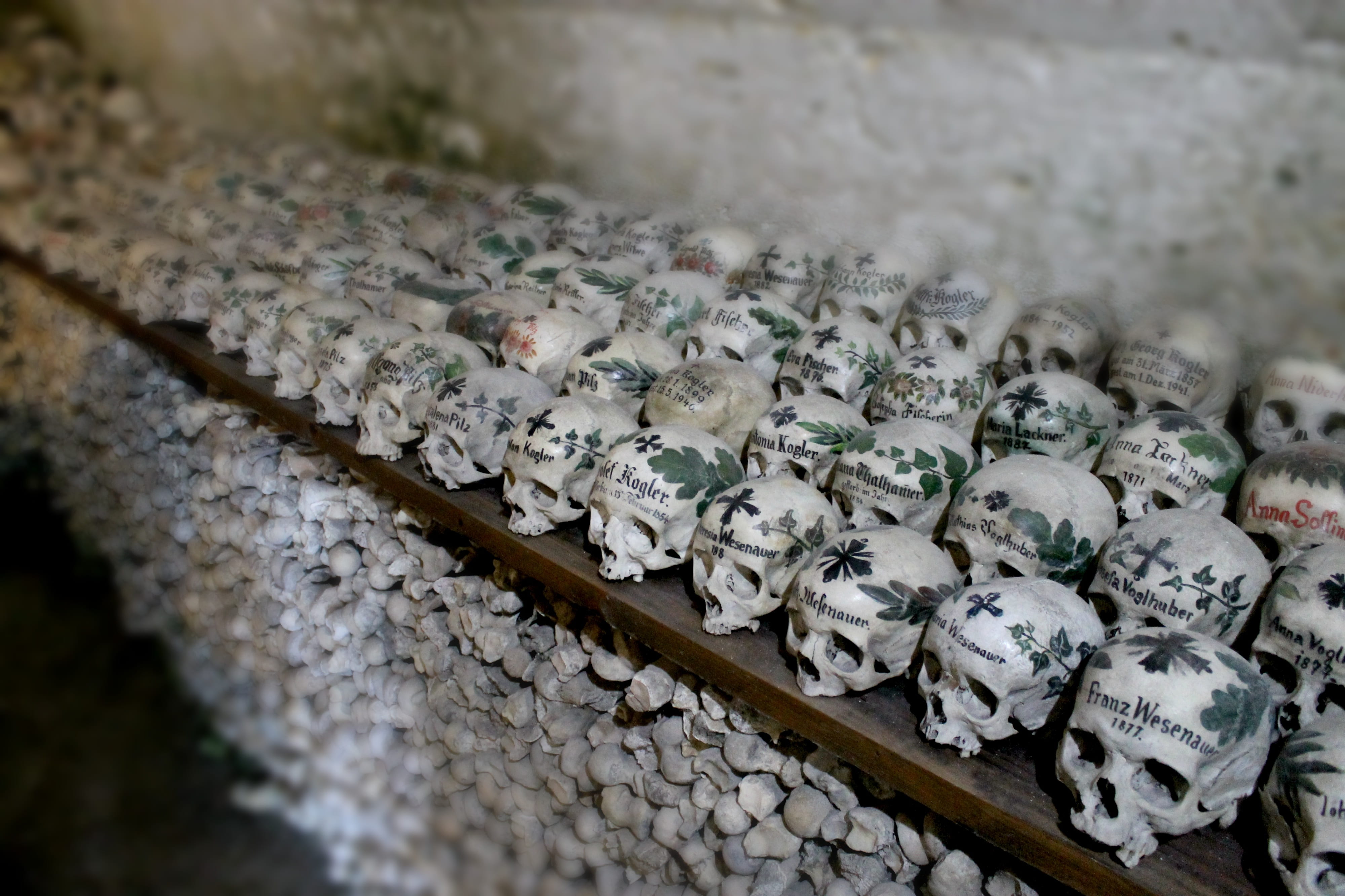 skull museum, selective focus, food, museum, freshness, order, hallstatt, skulls, 4K, arrangement, belief, wellbeing, food and drink, no people, close-up, HD Wallpaper