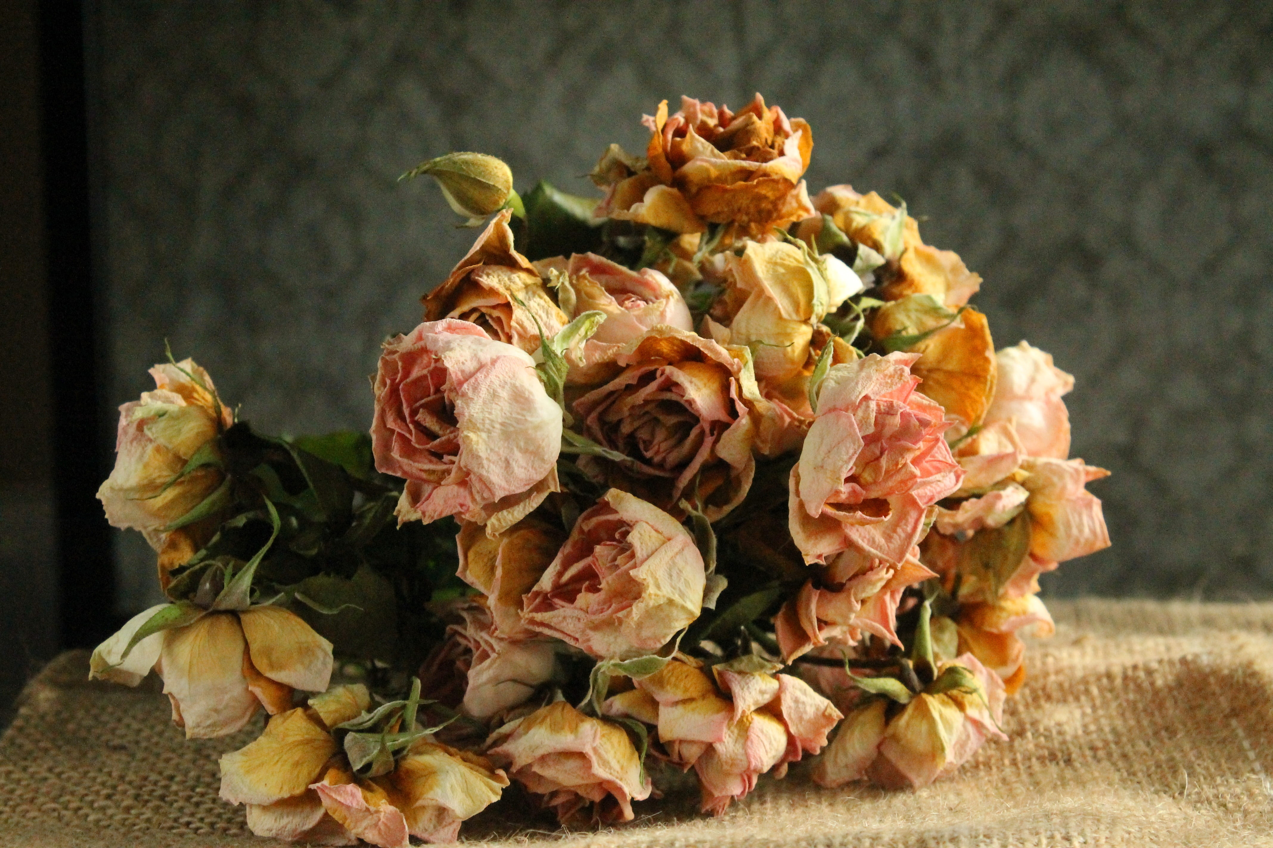 flower, dry, bouquet, no people, 4K, petal, indoors, dry flower, still life, rose, flowering plant, beauty in nature, flowers, flower arrangement, passing away, HD Wallpaper