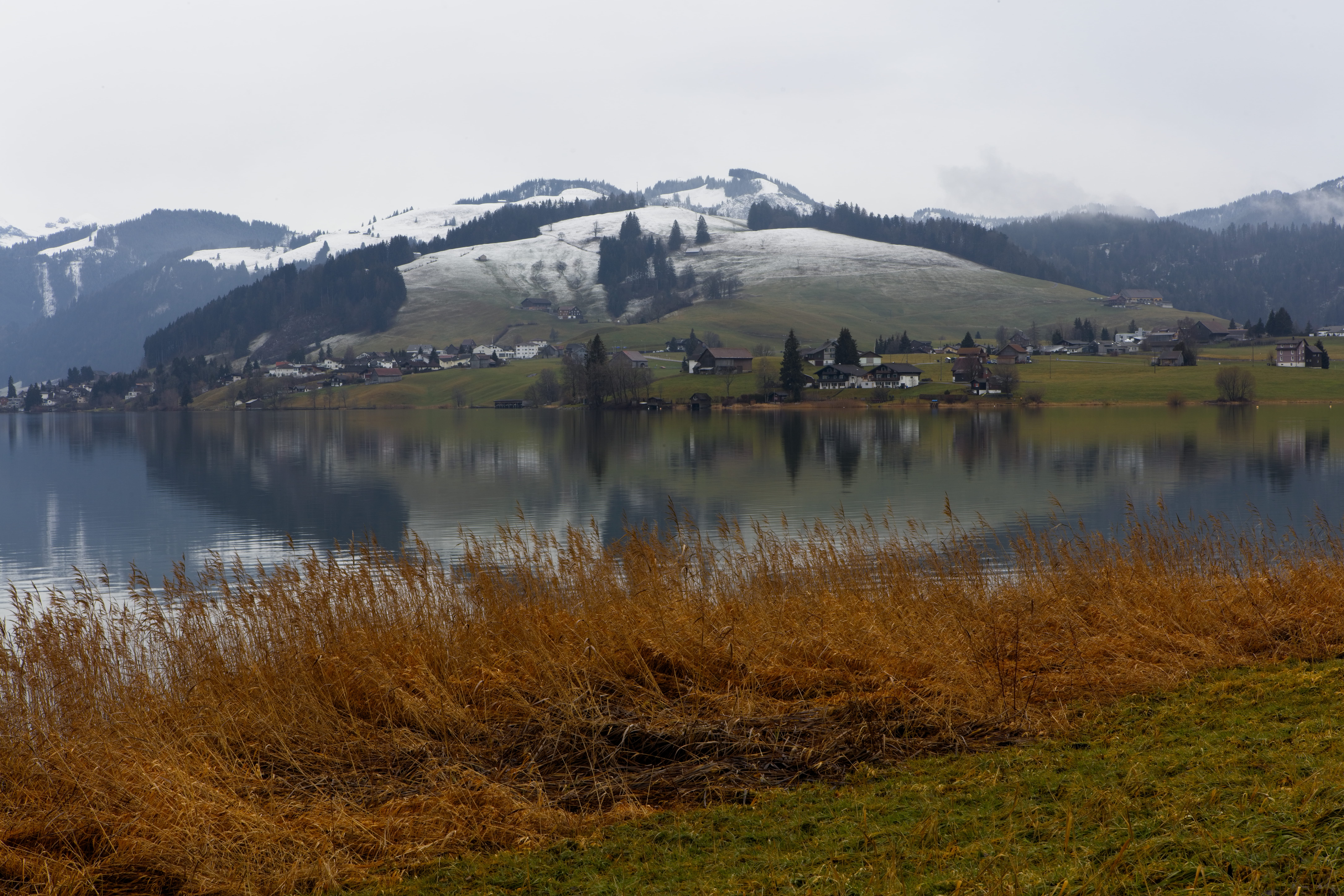 fir, cold temperature, beauty in nature, sihlsee, switzerland, reflection lake, mountain range, einsiedeln, tree, countryside, outdoors, reflection, human, HD Wallpaper