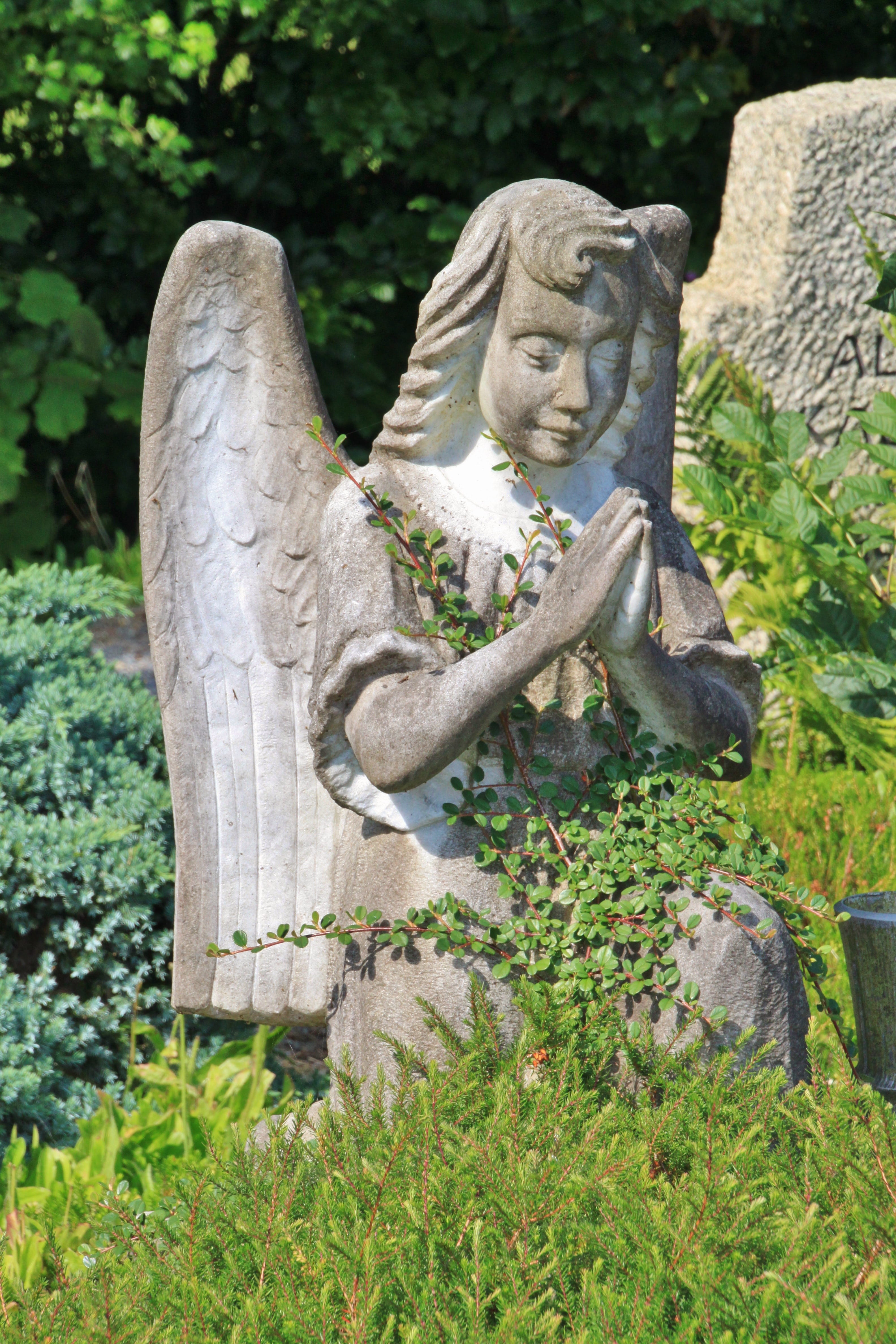 wing, christianity, park - man made space, day, growth, memorial, craft, outdoors, Cemetery, tombstone, faith, angel figure, climber, park, still image, Phone HD Wallpaper