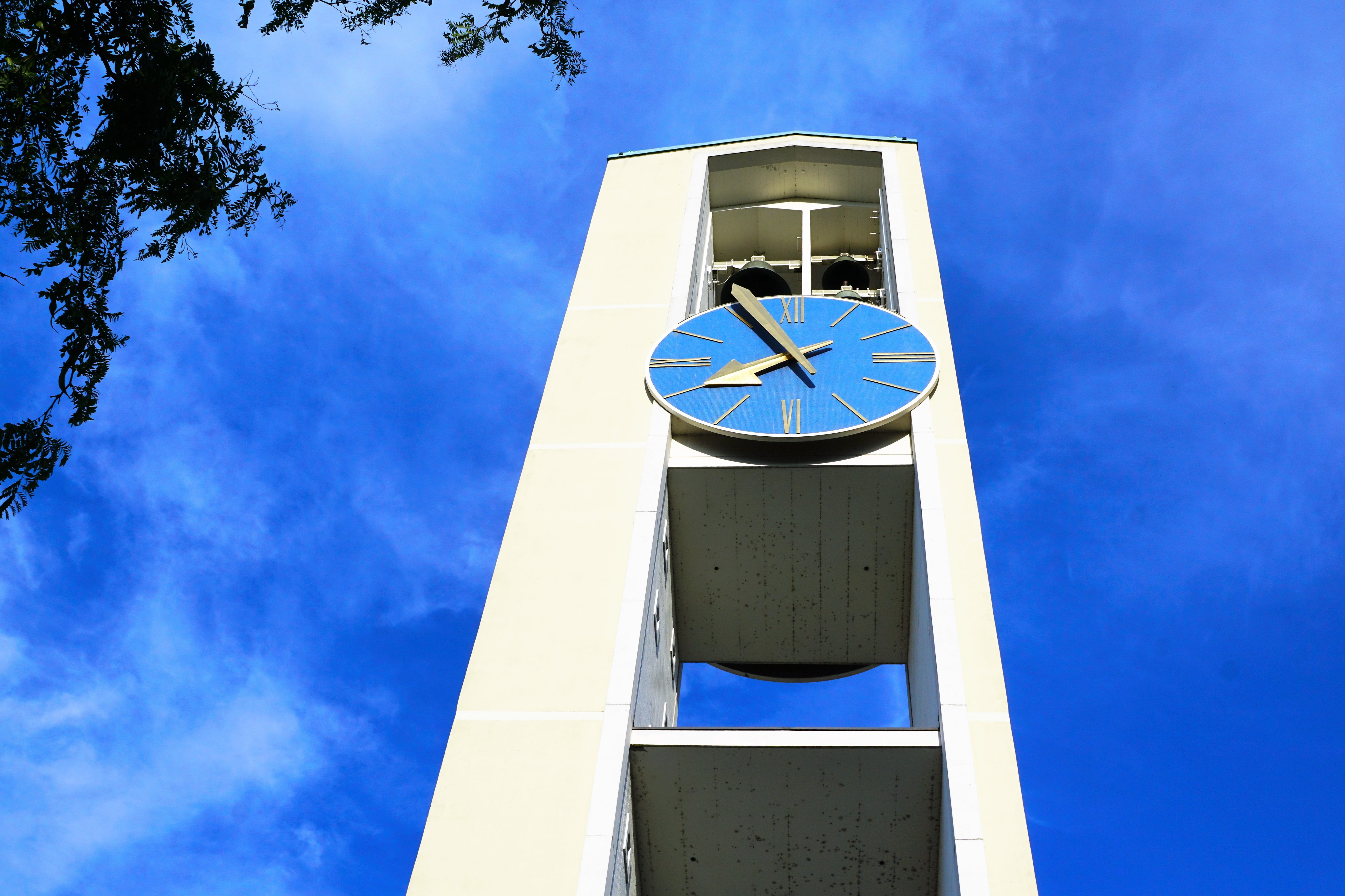 luck, tree, hobby, no people, sky, love, roman, pentecost, tower, clear sky, church, celebration, 5K, clock face, low angle view, clock, built structure, HD Wallpaper