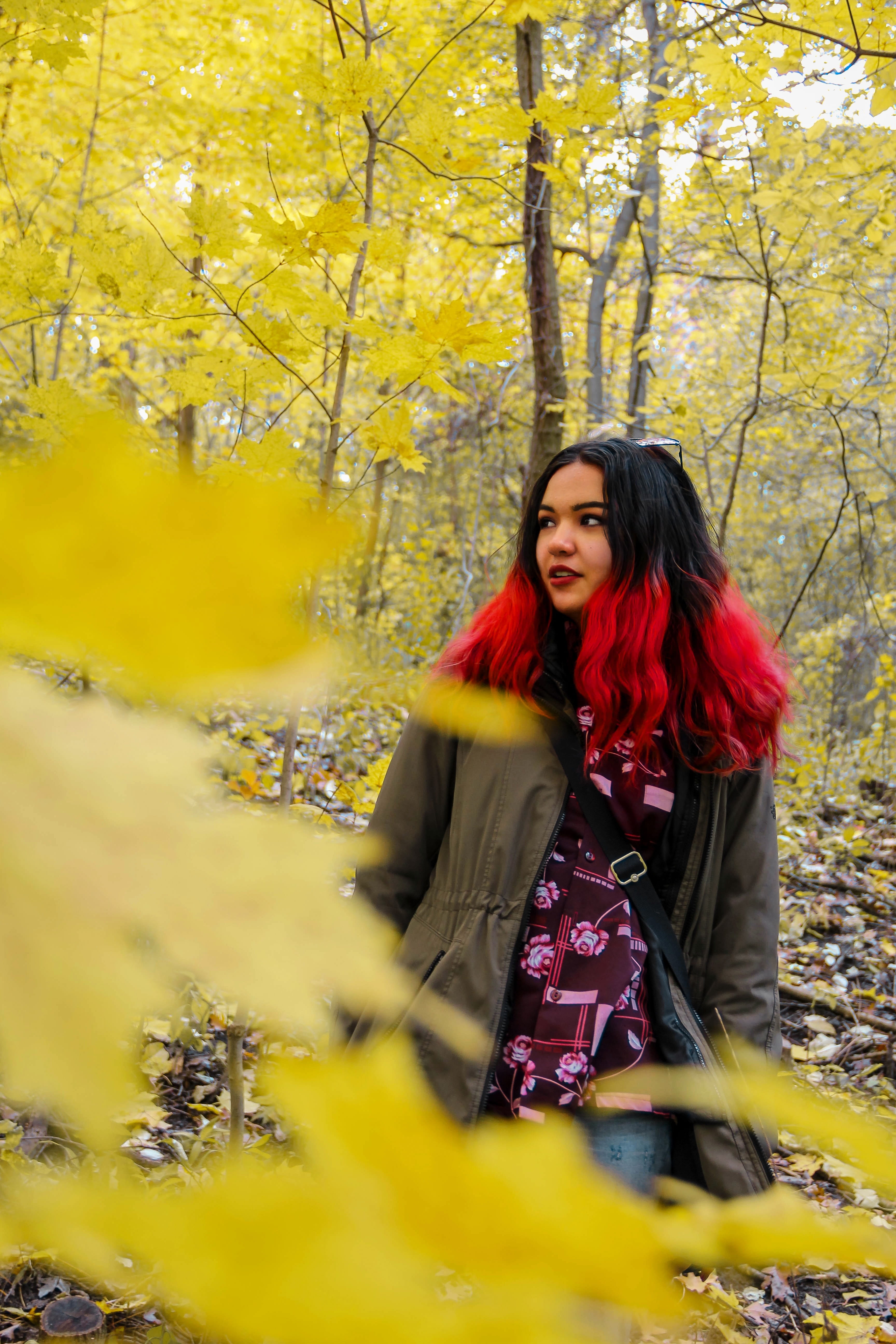 girls, change, plant, hairstyle, beauty, beauty in nature, color image, day, leisure activity, high park, yellow, plant part, vertical, nature, young adult, Phone HD Wallpaper