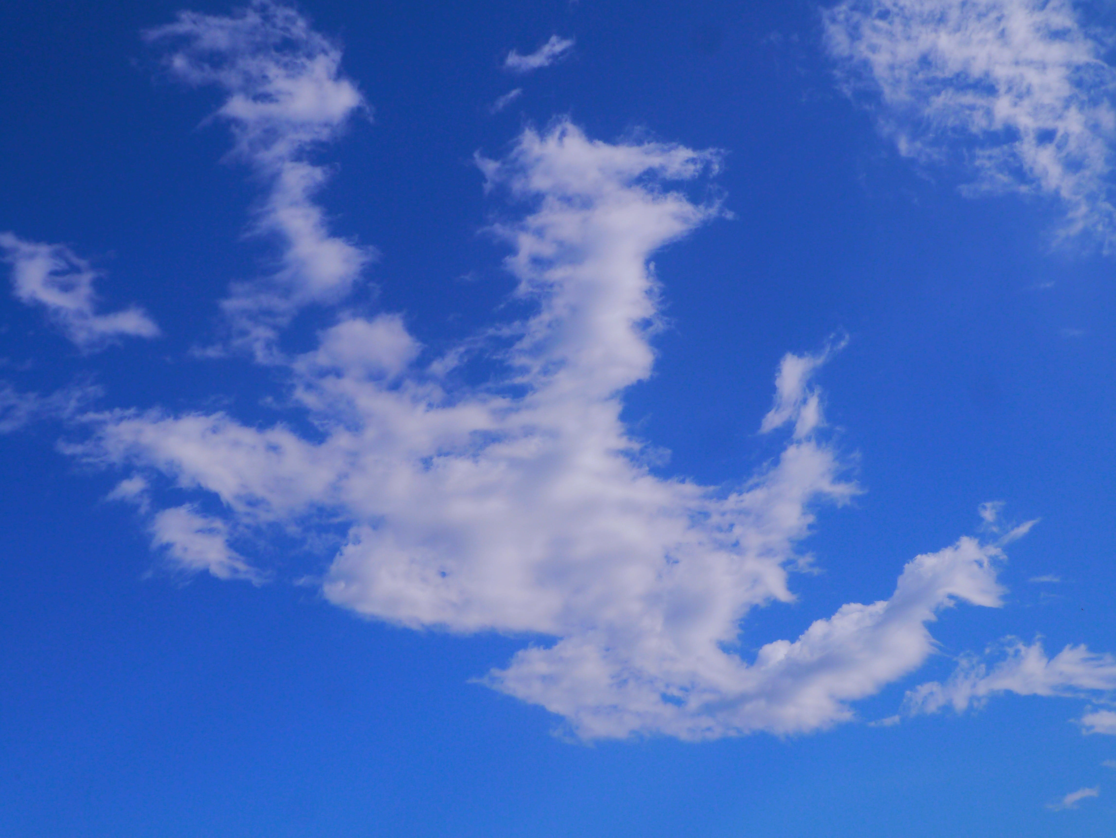 scenics - nature, majestic, backgrounds, meteorology, tranquil scene, otsu park, Sky, autumn, Cloud, blue, Blue Sky, yokosuka, beauty in nature, 4K, blue sky, HD Wallpaper