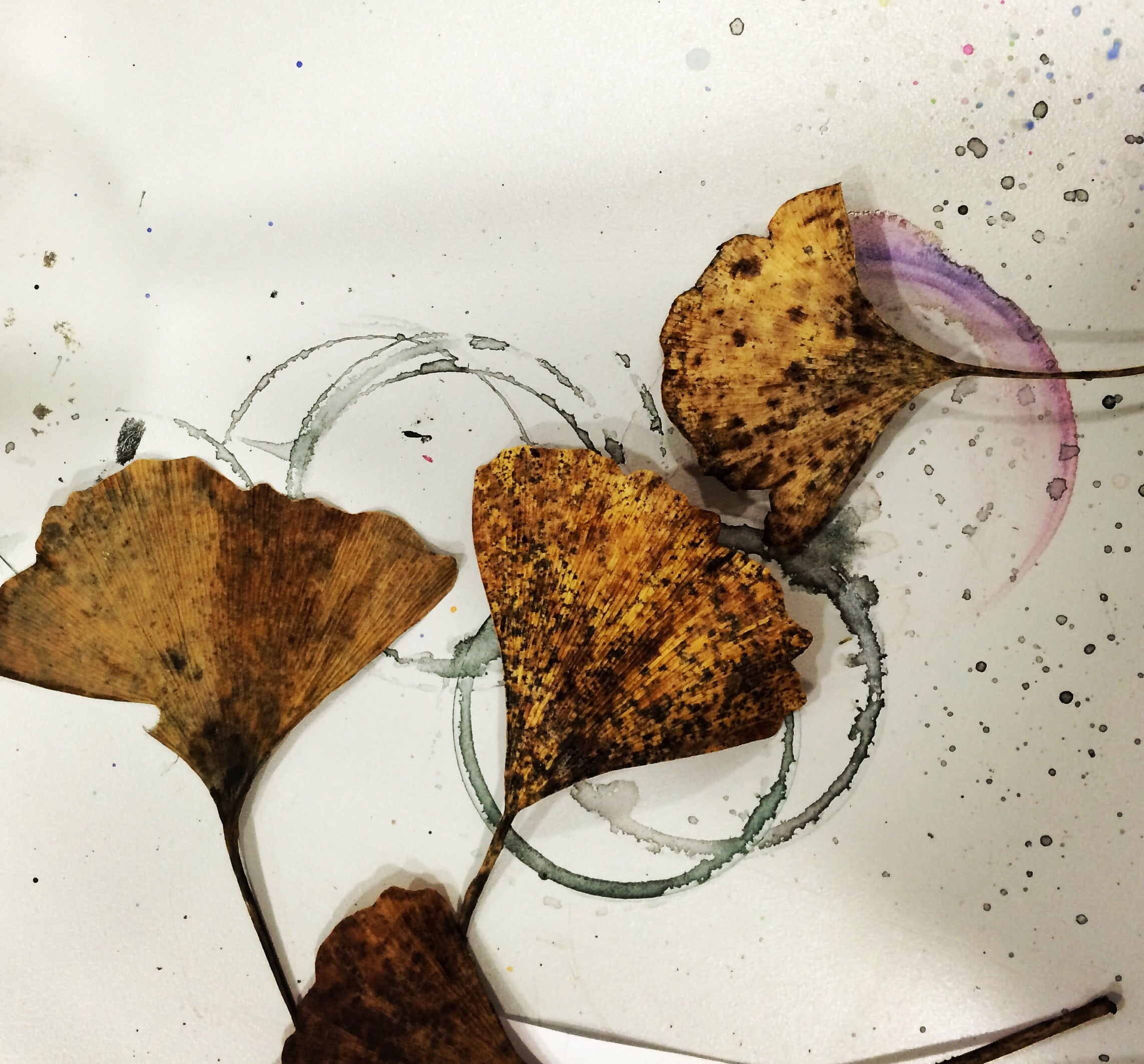 plate, serving size, 1080P, directly above, indulgence, baked, no people, goethe, farbkleckse, still life, food and drink, indoors, ready-to-eat, dty leaves, HD Wallpaper