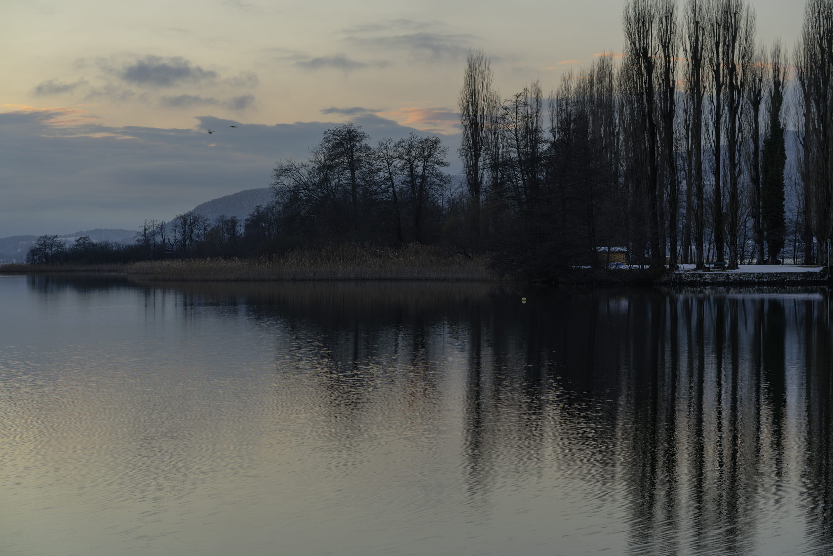 sunset, tranquil scene, austria, lake, growth, pörtschach, mirror, nature, water, non-urban scene, reflection, scenics - nature, monochrome, tranquility, HD Wallpaper