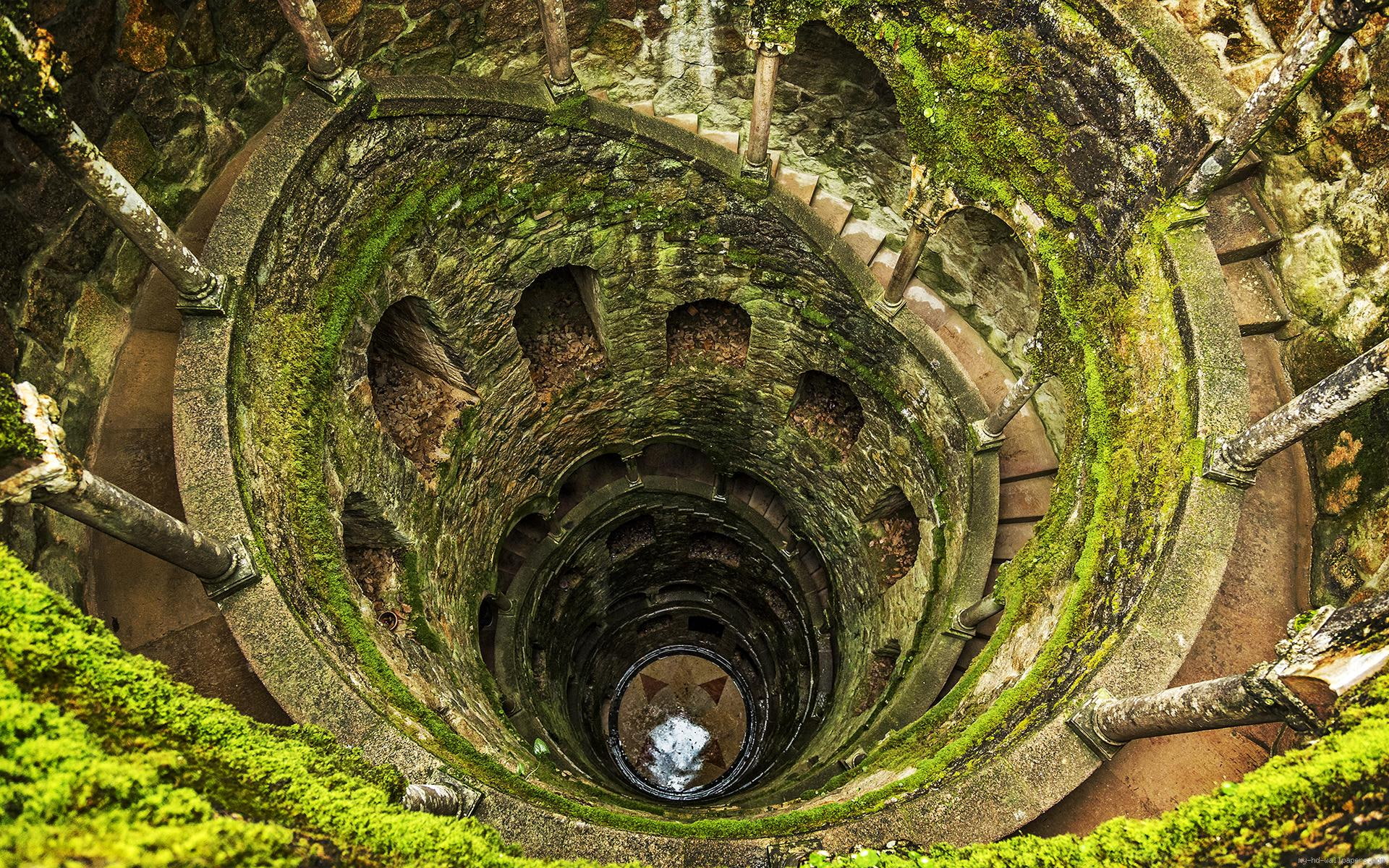 diverse, full, well, water, wall, moss, green, 1080P, lichen, vestige, ruin, HD Wallpaper