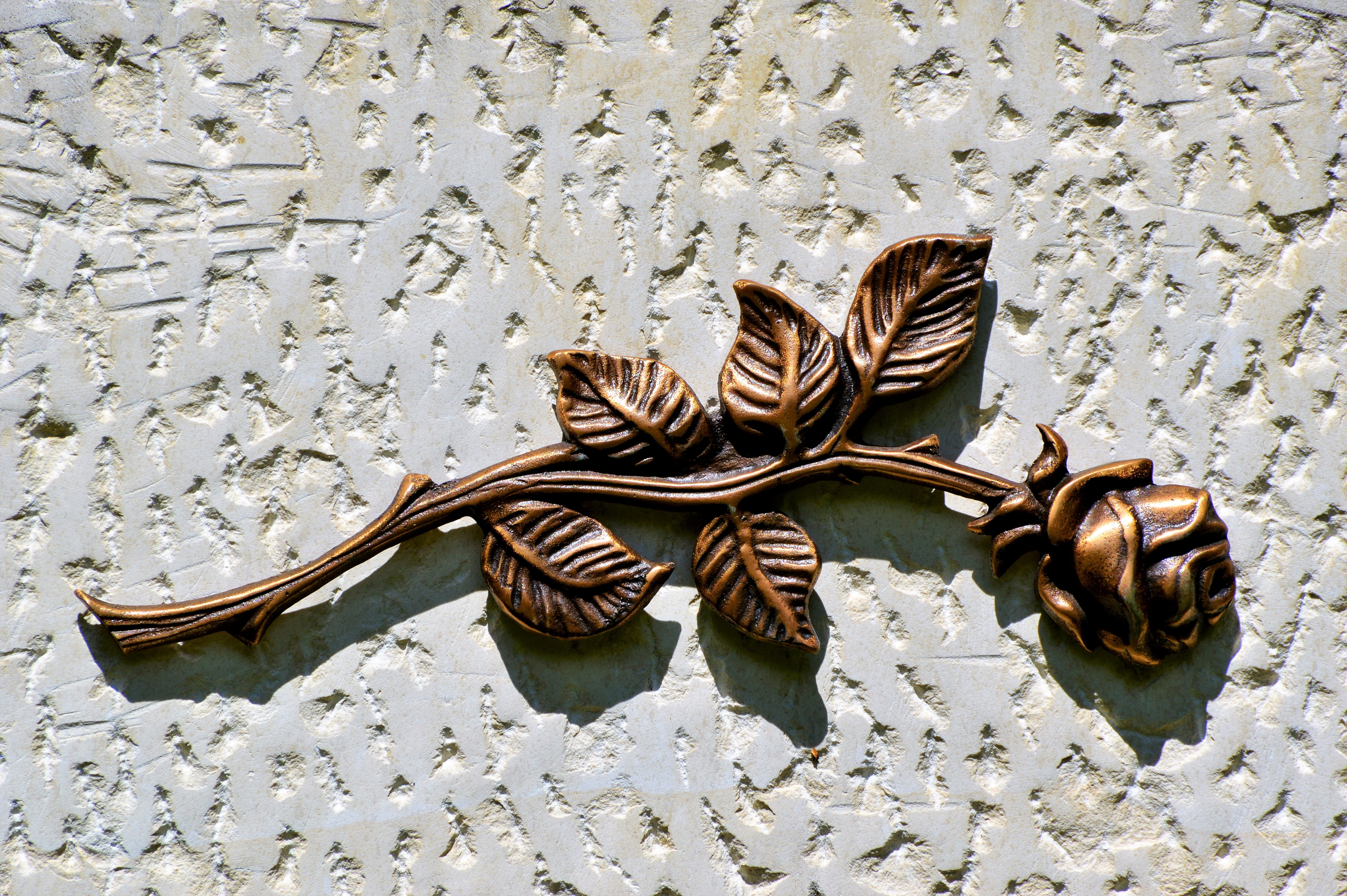 water, pine cone, concrete, shoe, leaf, plant part, pair, Flower, outdoors, craft, still life, 5K, directly above, close-up, Relief, no people, rock carving, HD Wallpaper