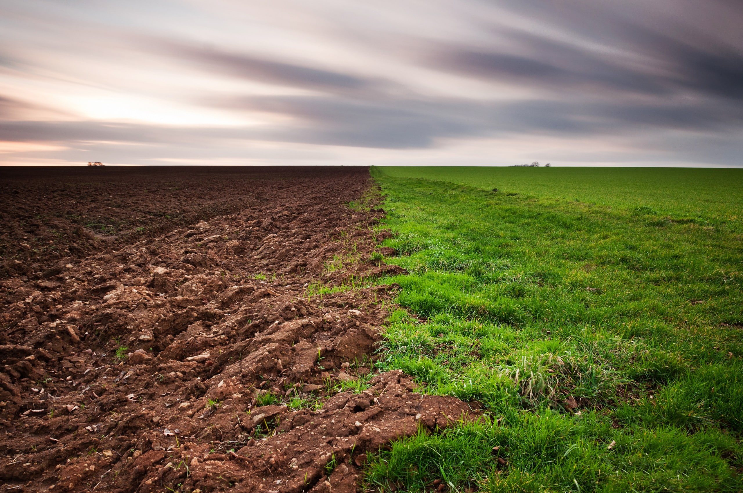 landscape, grass, field, 2K, clouds, dirt, green, brown, HD Wallpaper
