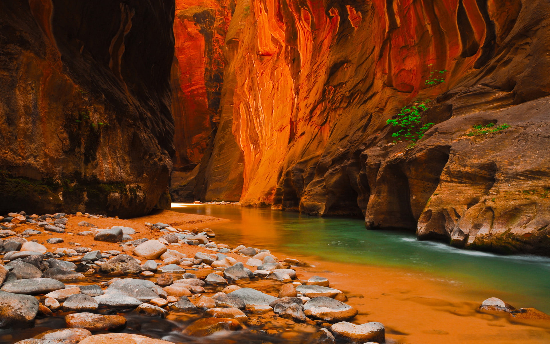 hd, narrows, north, national, park, america, 1080P, river, virgin, widescreen, zion, HD Wallpaper