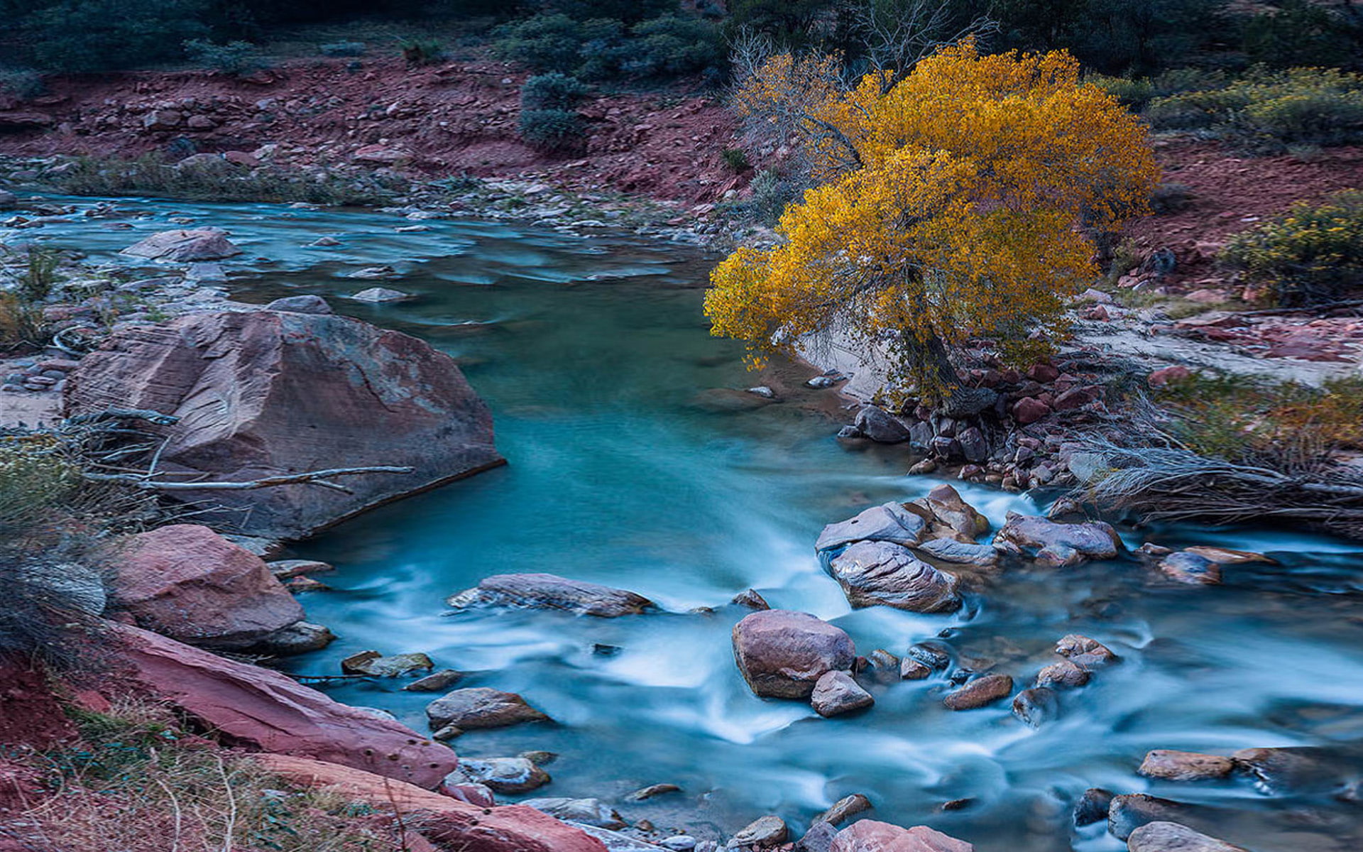 park, 1080P, usa, virgin, widescreen, national, utah, hd, zion, river, HD Wallpaper