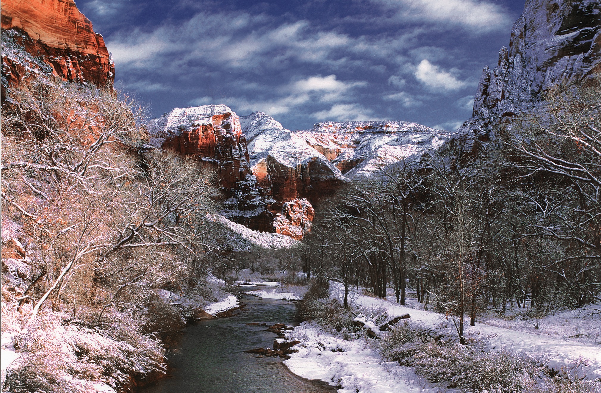 1080P, virgin river, near, scenics, water, alp, day, body, winter, mountain range, bare tree, zion national park, rock, outdoors, scenics - nature, land, HD Wallpaper