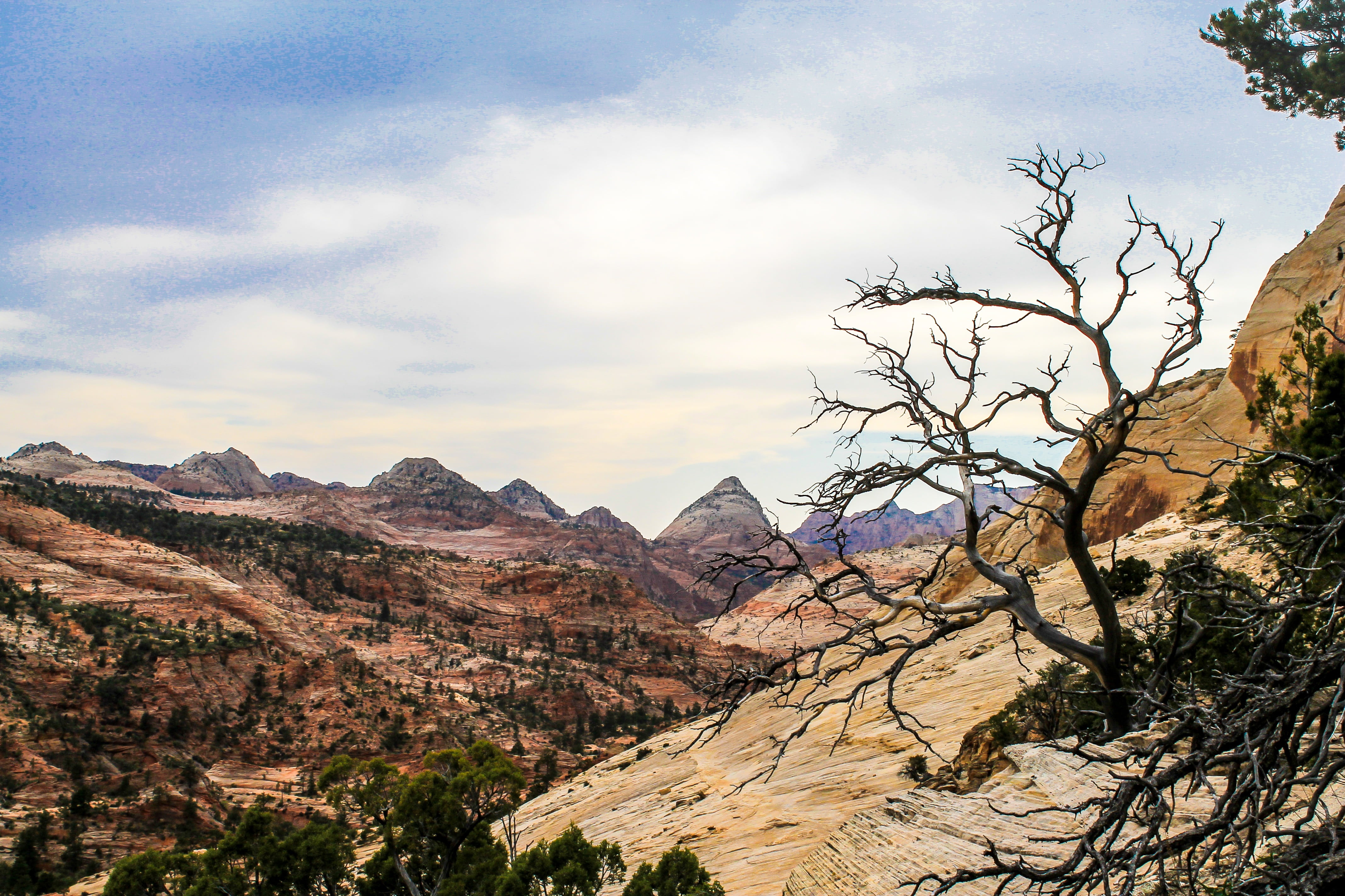 stone, utah, scenics - nature, landscape, us, arid climate, cloud - sky, plant, tranquil scene, states, scenic, zion, panorama, rock, climate, bare, scenics, HD Wallpaper