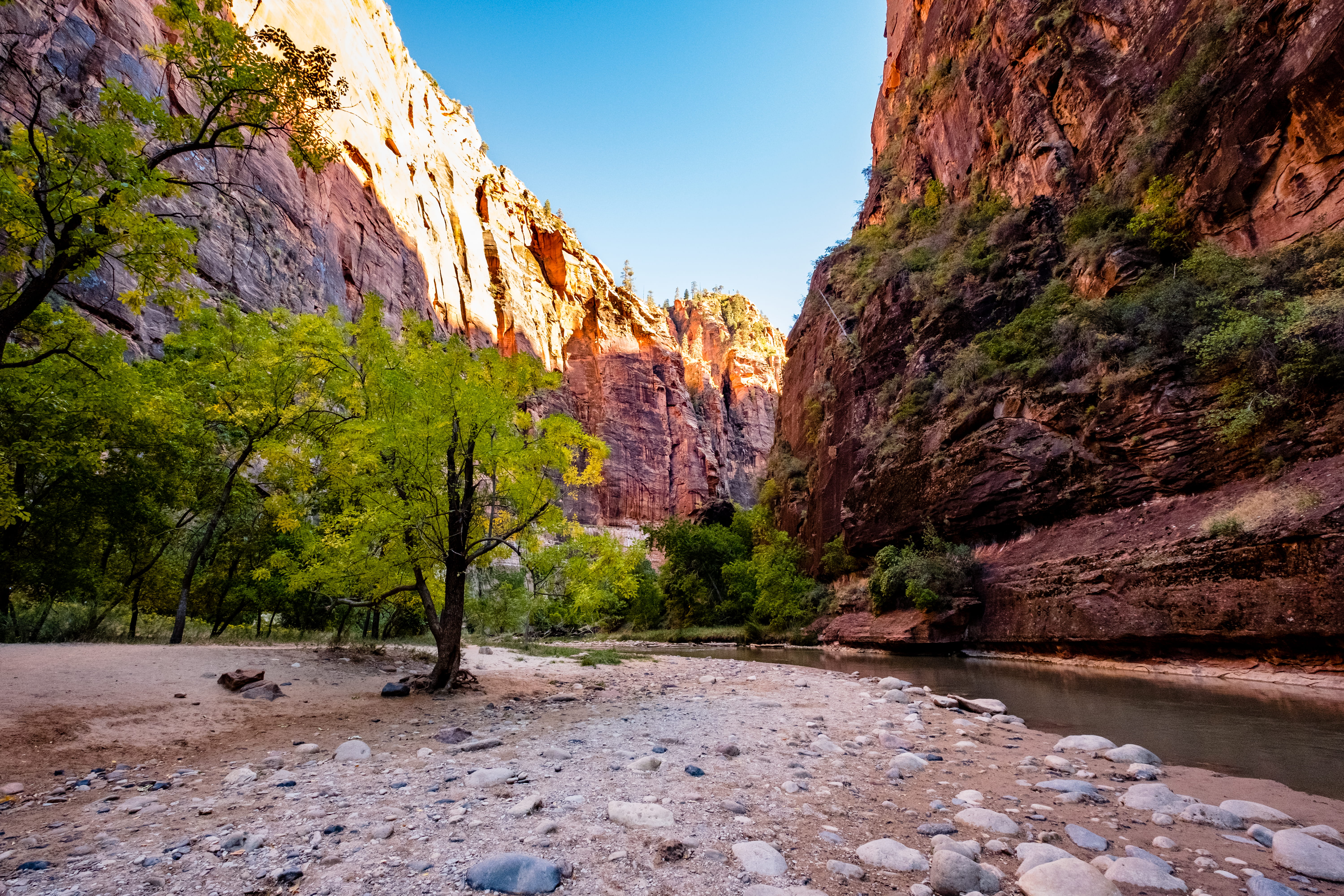 trees, sky, no people, land, rock, rocks, rock - object, travel destinations, eroded, flowing water, rock formation, nature, zion, climate, plant, environment, HD Wallpaper