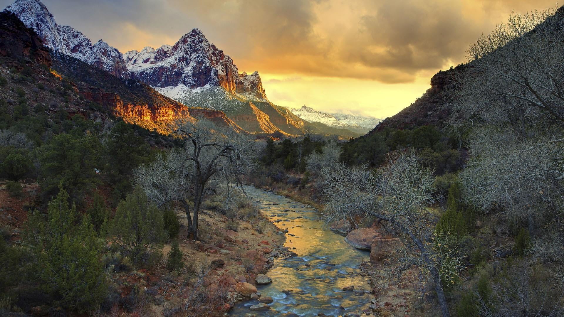 autumn, wilderness, outdoors, plant, remote, mountainous landforms, zion national park, tree, river, beauty in nature, environment, sky, rock, utah, tranquil scene, HD Wallpaper
