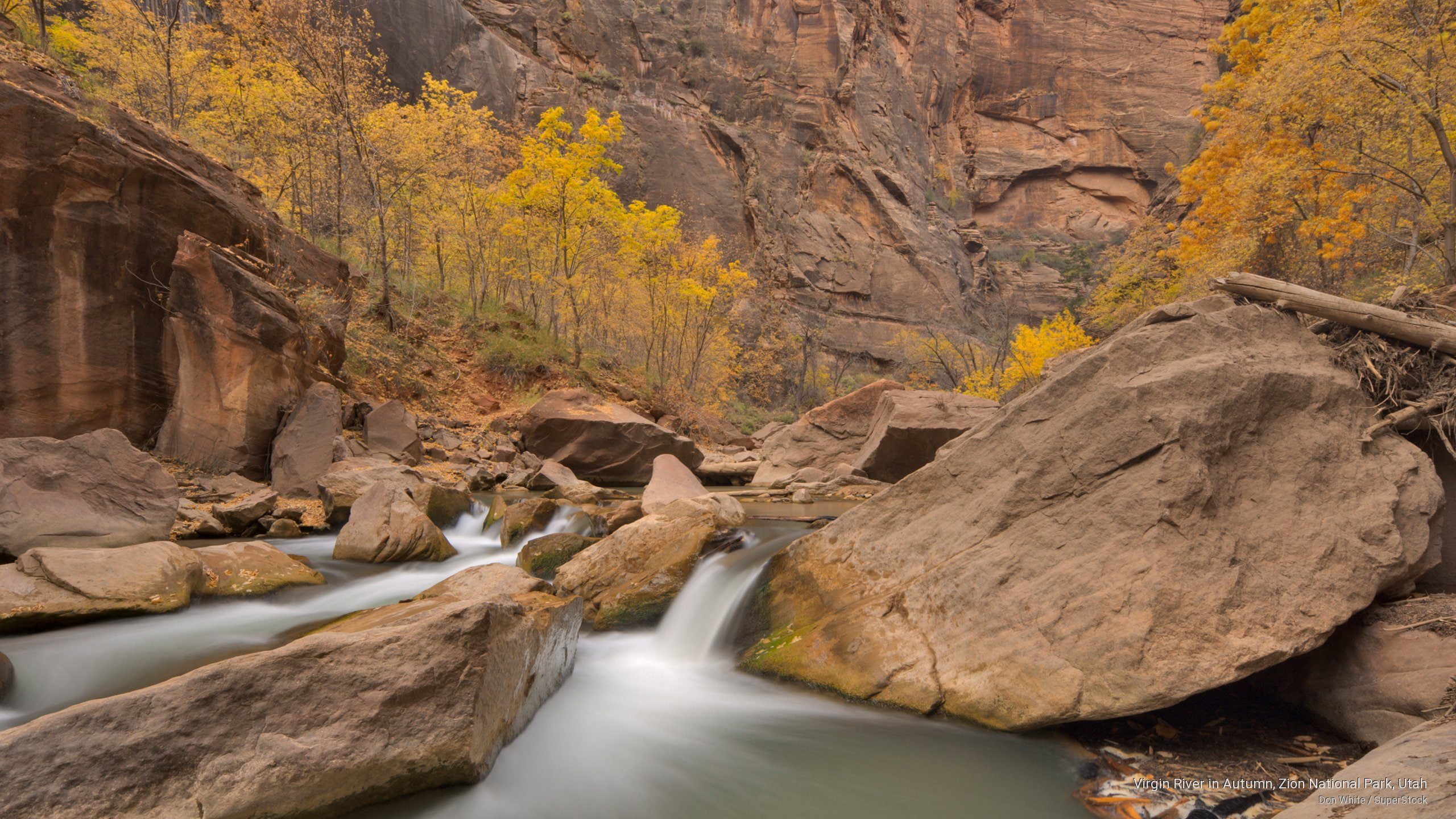 2K, zion, utah, national, park, virgin, National Parks, autumn, river, HD Wallpaper