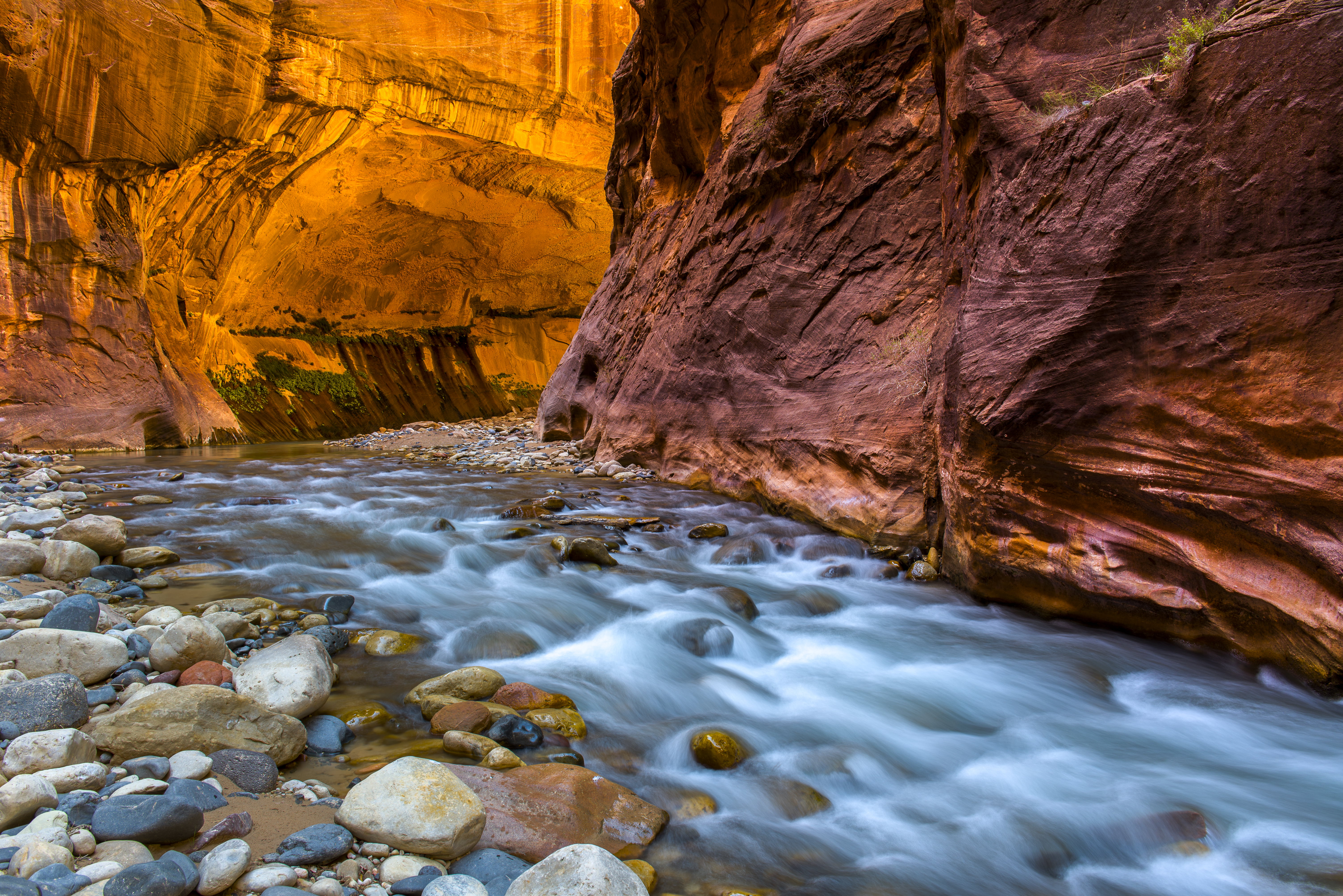 outdoors, 5K, rock - Object, stream, lapse, scenics, hiking, The Narrows, time, Zion national park, virgin  river, Zion  canyon, canyon, waterfall, virgin river, HD Wallpaper