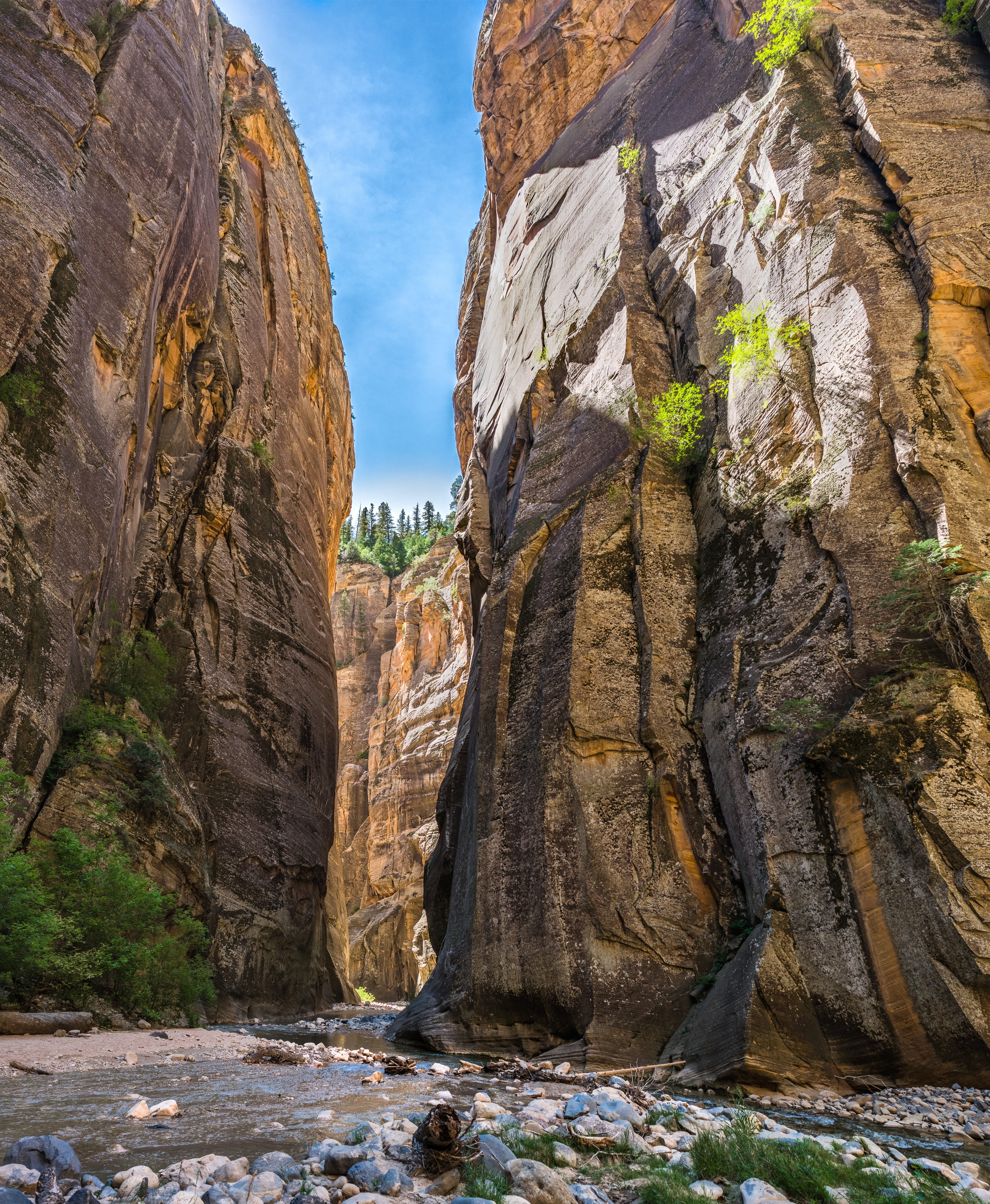 utah, park, national, travel, nature, adventure, water, geology, zion, wilderness, sky, rock, southwest, rock formation, beauty in nature, terrain, scenics - nature, Phone HD Wallpaper