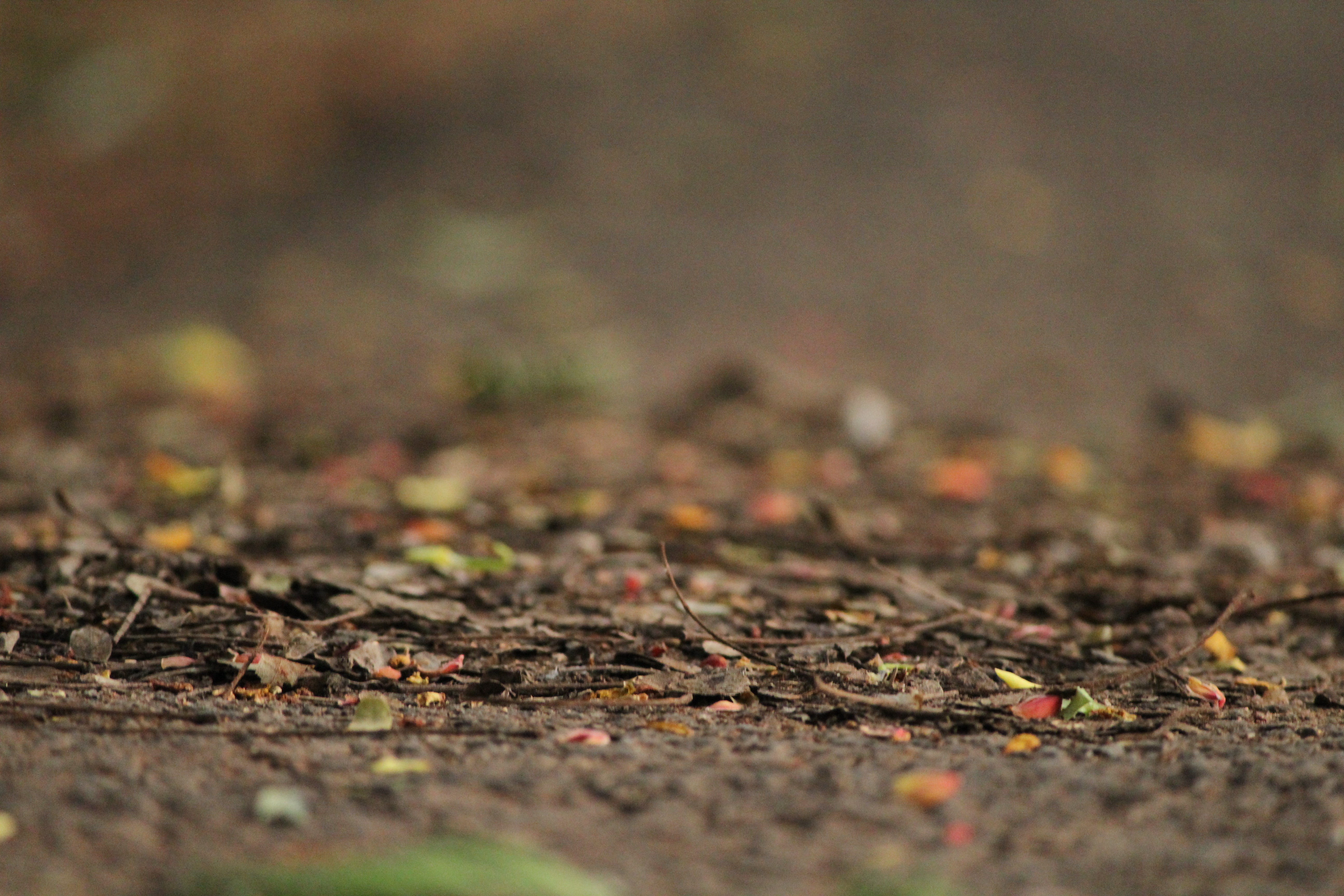 path, brown, dirt, blurred, dirt road, nature, 5K, abstract, road, soil, HD Wallpaper