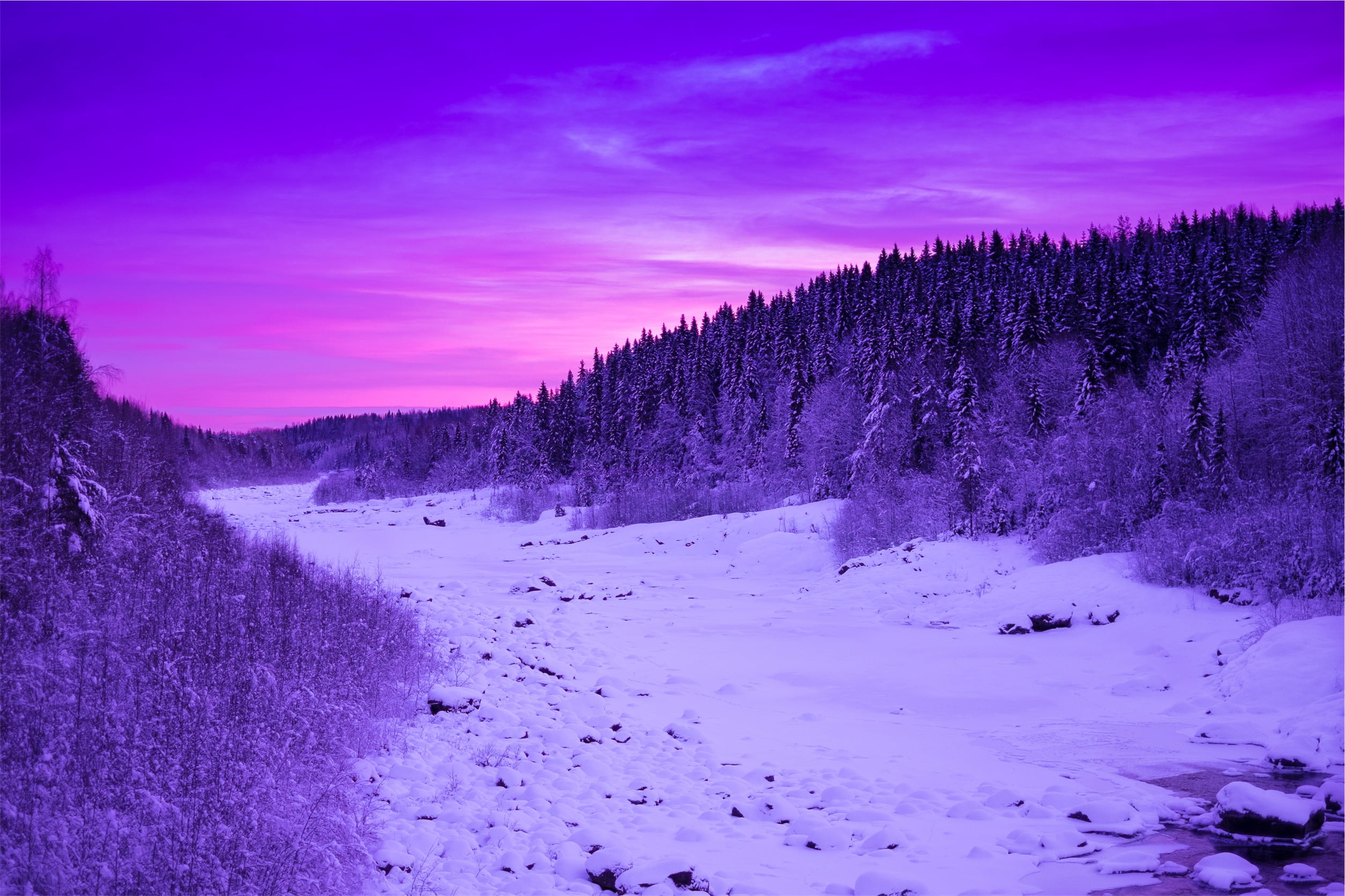 pink color, sunset, mountain, cold temperature, snowcapped mountain, scene, landscape, pine, snow, no people, non-urban scene, nature, forest, purple, sky, HD Wallpaper