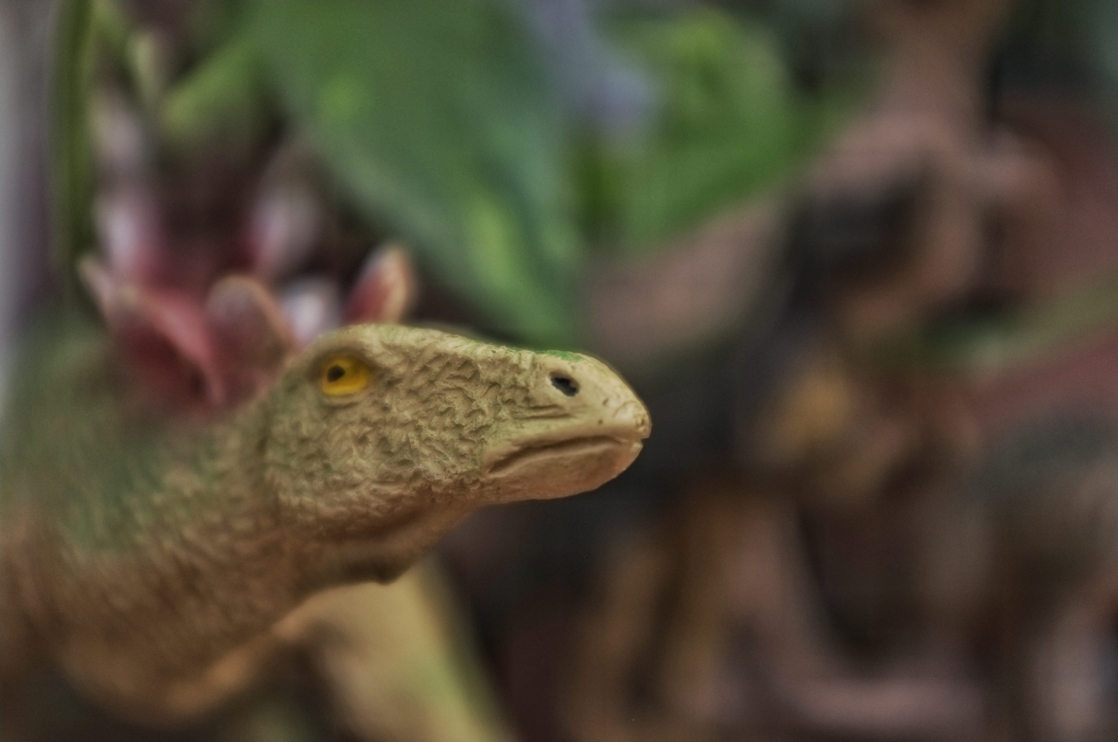 salamander, reptile, animal themes, green lizard, mouth, dragon, focus on foreground, blazer, day, anole, one animal, animal, dinos, animal body part, animal wildlife, HD Wallpaper