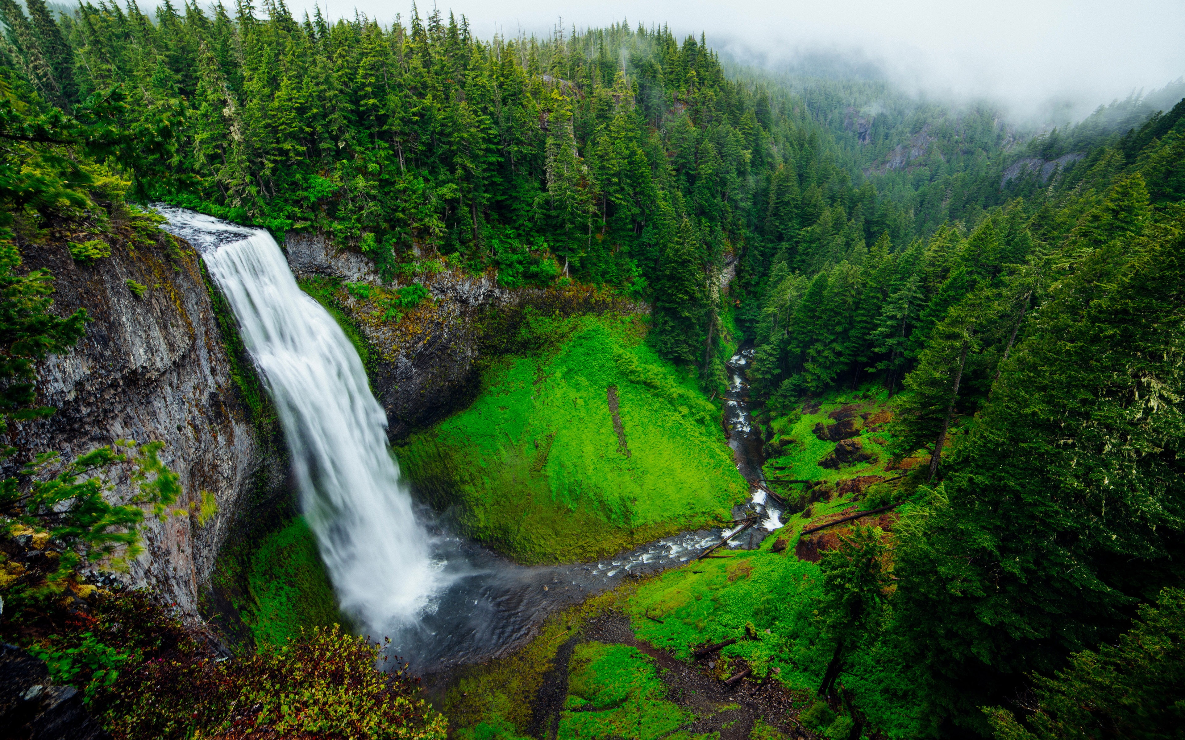 long exposure, 4K, plant, flowing water, river, nature, tropical, outdoors, lush foliage, waterfall, growth, forest, no people, tree, virgin, stream - flowing water, HD Wallpaper