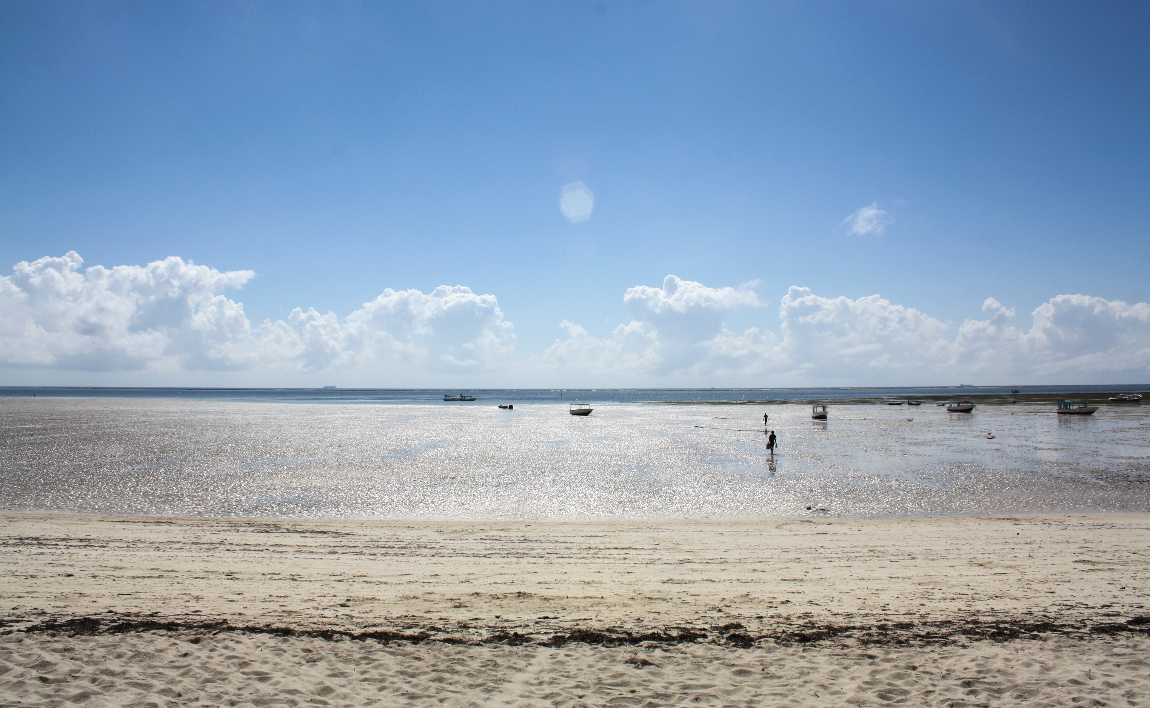 outdoors, bird, beauty in nature, non-urban scene, beach, horizon, tranquility, water, 4K, land, day, scenic, sky, cloud - sky, coast, ocean, nature, mombasa, HD Wallpaper