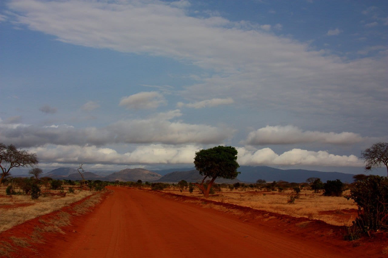 landscape, africa, animal, long, environment, dirt road, road, nature, dirt, sky, outdoors, transportation, mombasa, tranquility, plant, safari, kenya, HD Wallpaper