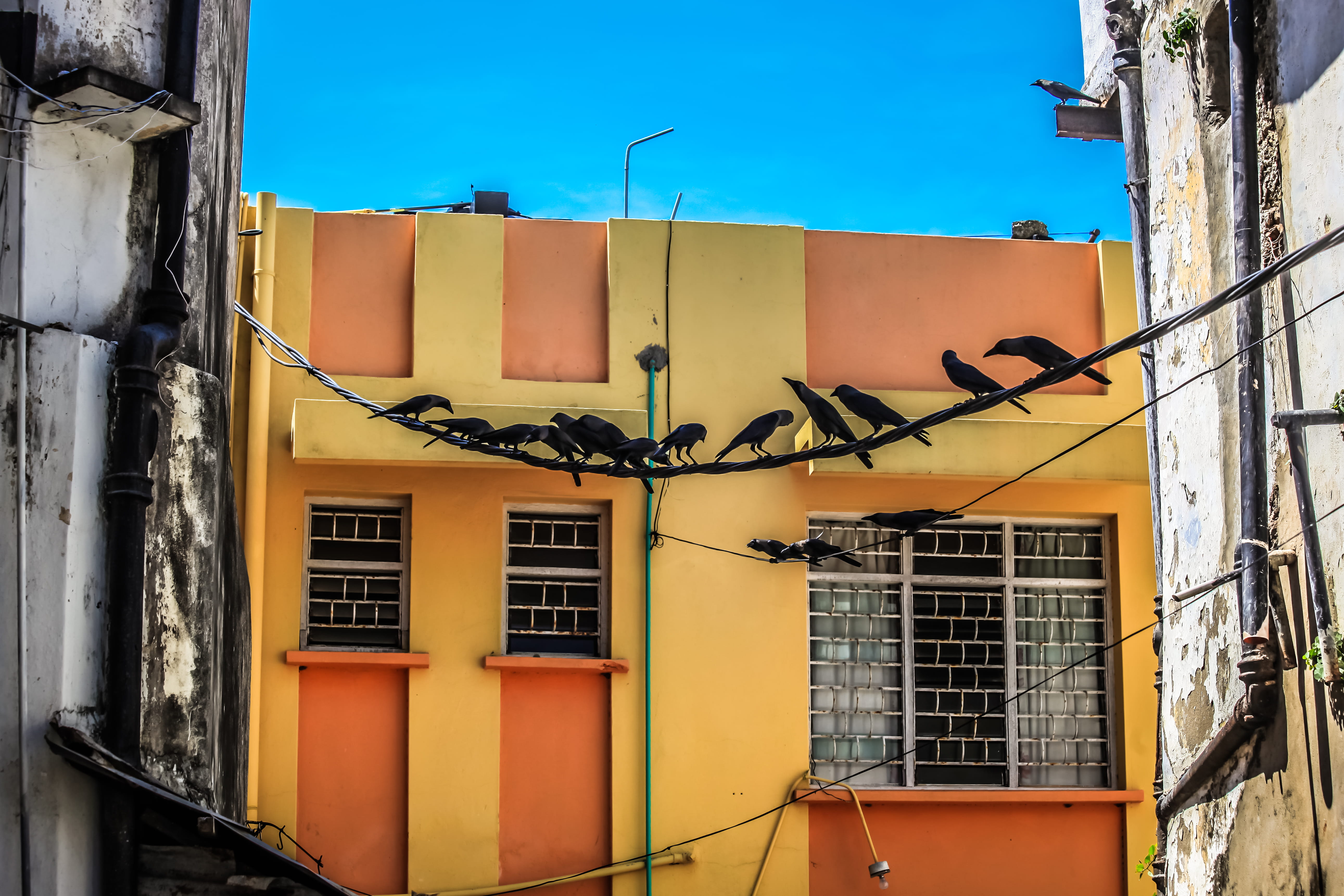 outdoors, birds, low angle view, building exterior, building, window, apartment, yellow, kenya, city, communication, 5K, sky, wire, technology, architecture, HD Wallpaper