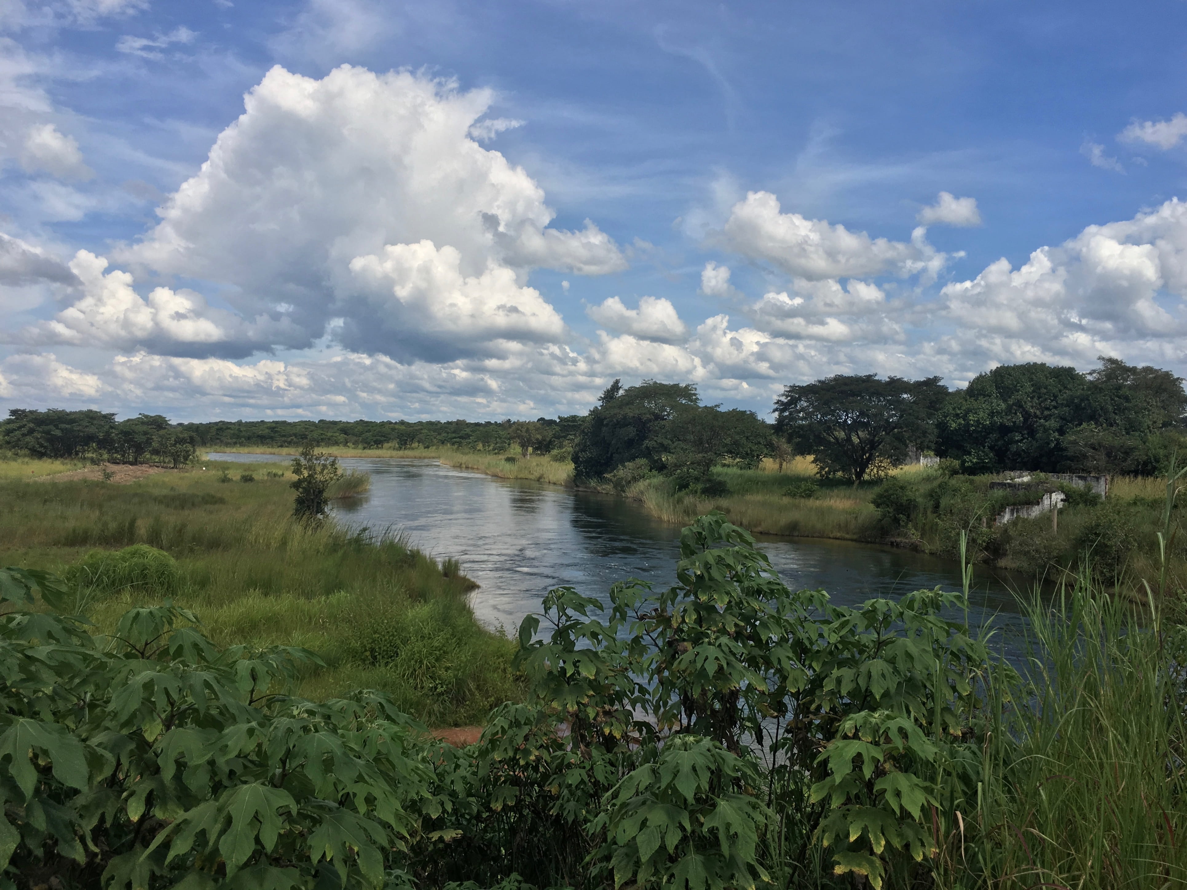 tranquil scene, plant, headwaters, cloud - sky, river, landscape, moxico province, tranquility, lush, beauty in nature, sky, nature, 4K, green color, outdoors, HD Wallpaper