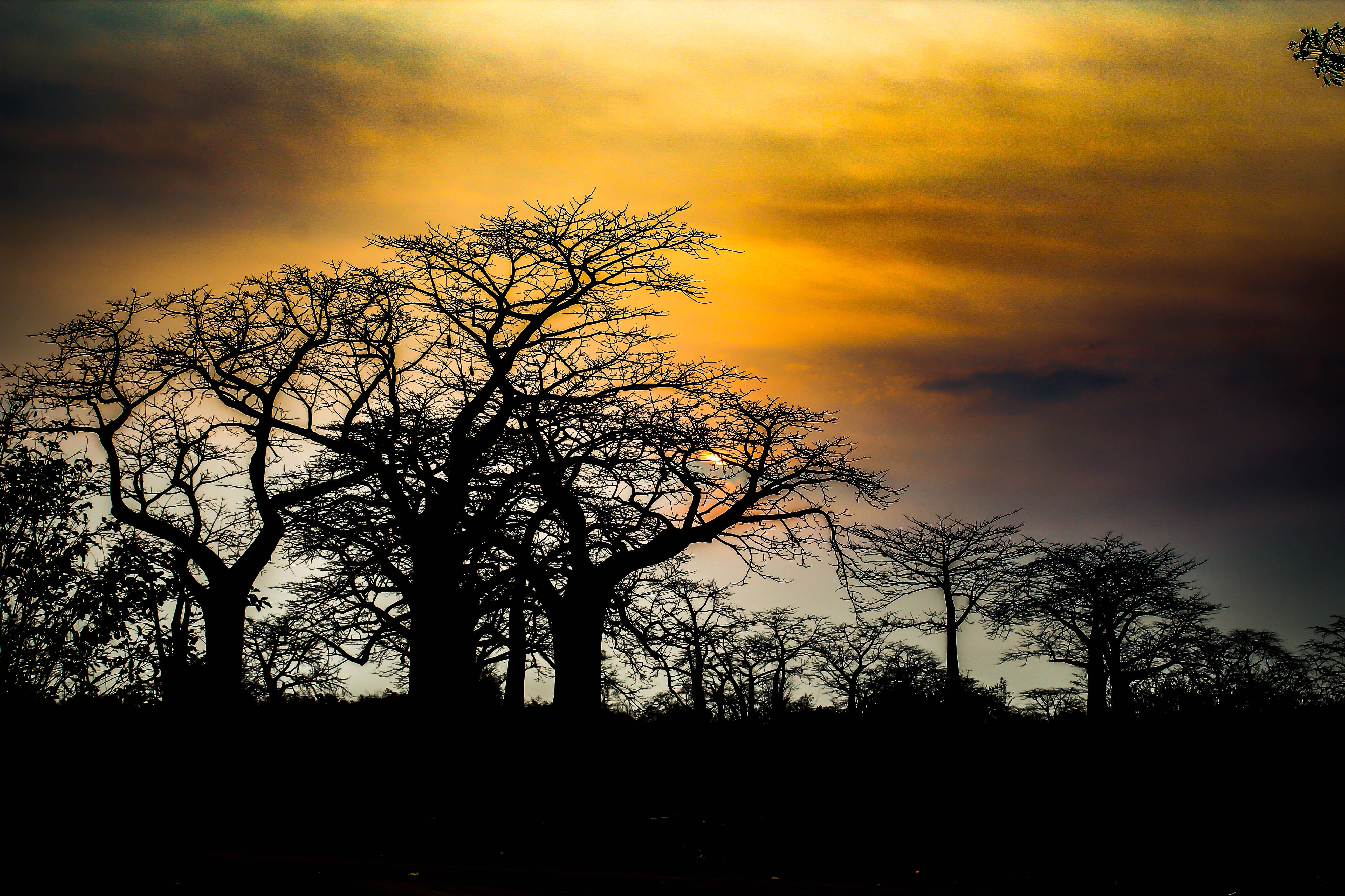 outdoors, non-urban scene, landscape, scenics - nature, sunset, 5K, scenic, nature, angola, tranquil scene, silhouette, cloud - sky, twilight, night, beauty in nature, HD Wallpaper