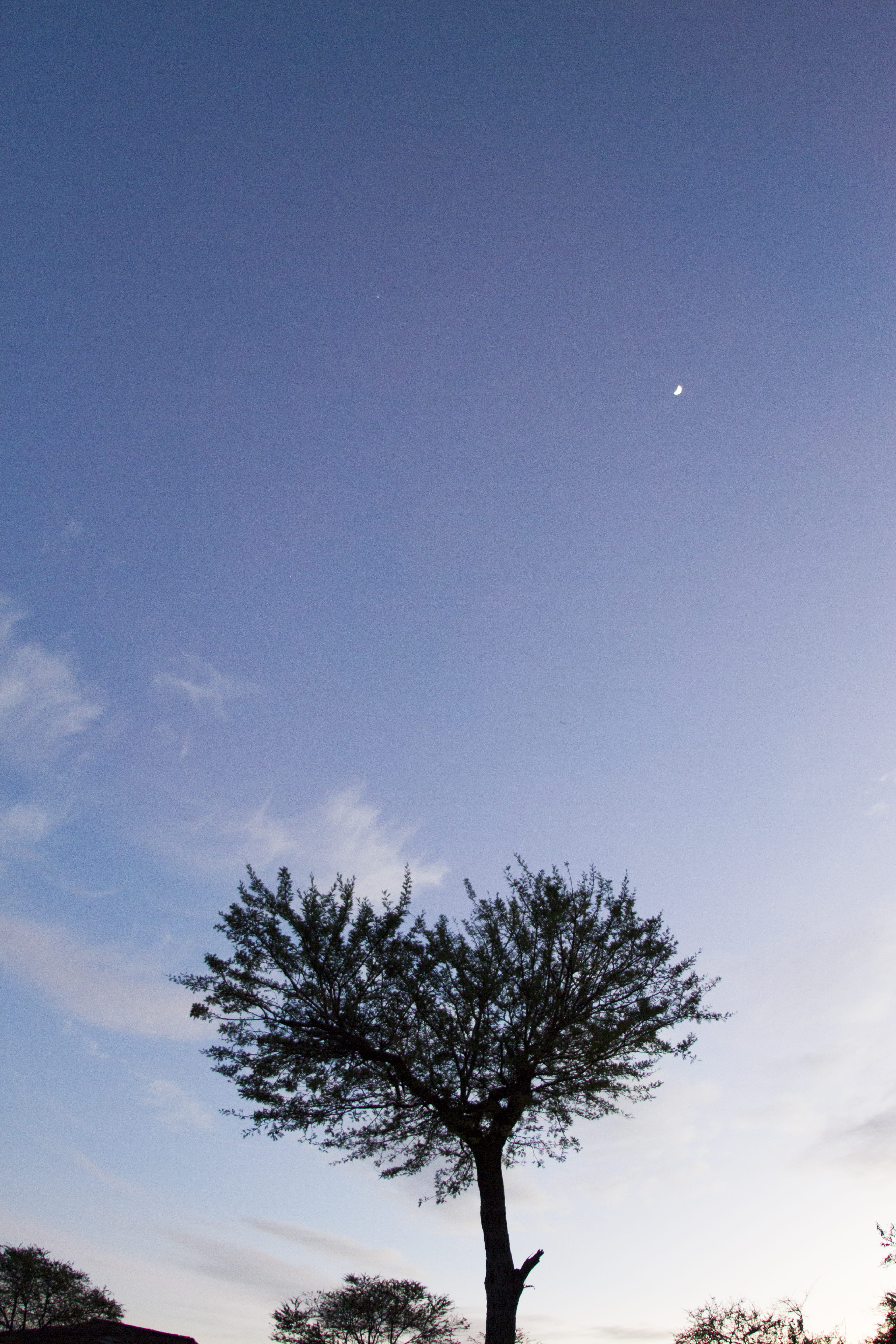 no people, tanzania, heart, blue, tranquil scene, cloud - sky, tree, space, sky, silhouette, copy space, 5K, plant, moon, scenics - nature, serengeti national park, Phone HD Wallpaper