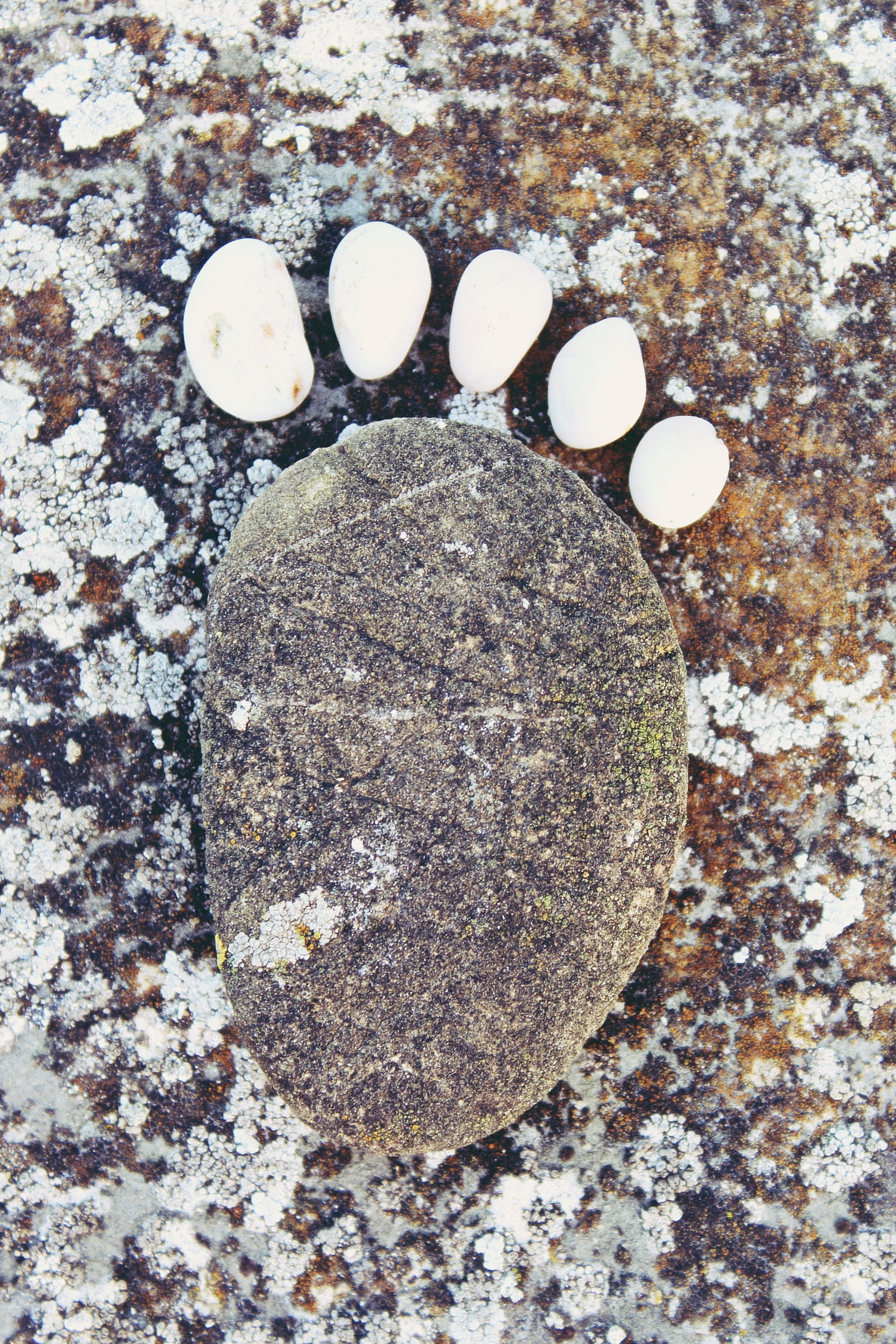 stone - object, art, shape, close-up, weathered, reprint, beach, old, ten, footprint, circle, trace, textured, nature, high angle view, winter, foot, solid, Phone HD Wallpaper
