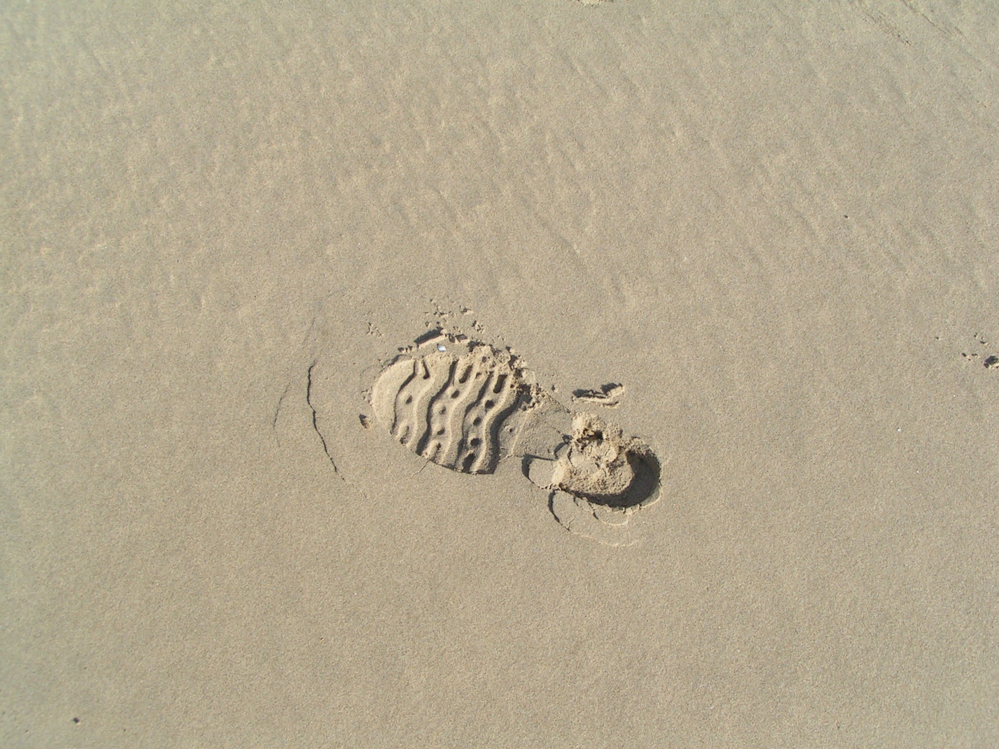 nature, animal representation, land, sand beach, grains of sand, mystery, outdoors, print, animal wildlife, track - imprint, reprint, paw print, directly above, HD Wallpaper