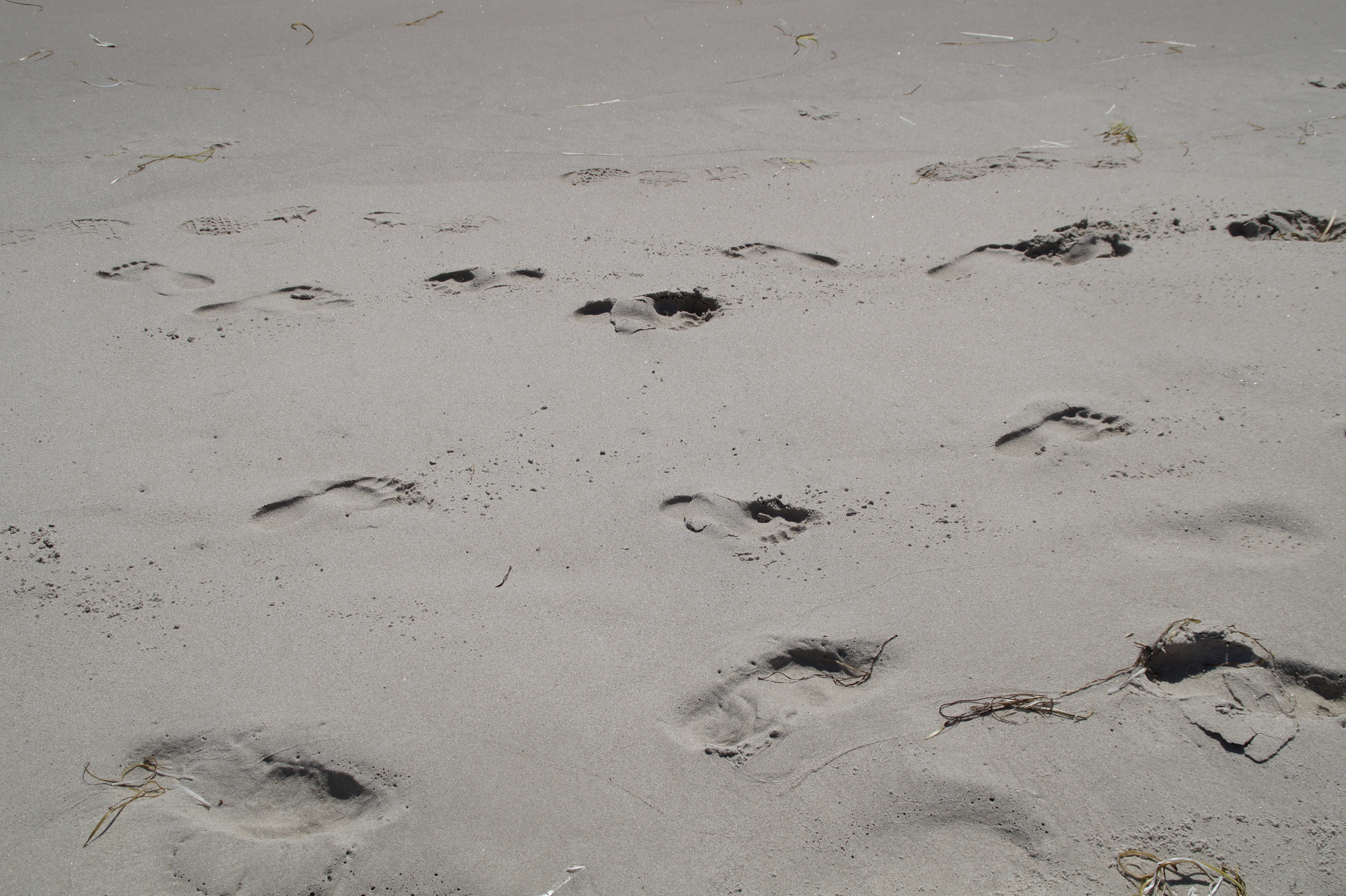barefoot, mud, absence, holiday, outdoors, high angle view, walk, tranquility, nature, run, traces, sand, wet sand, reprint, tracks in the sand, feet, footprints in the sand, HD Wallpaper