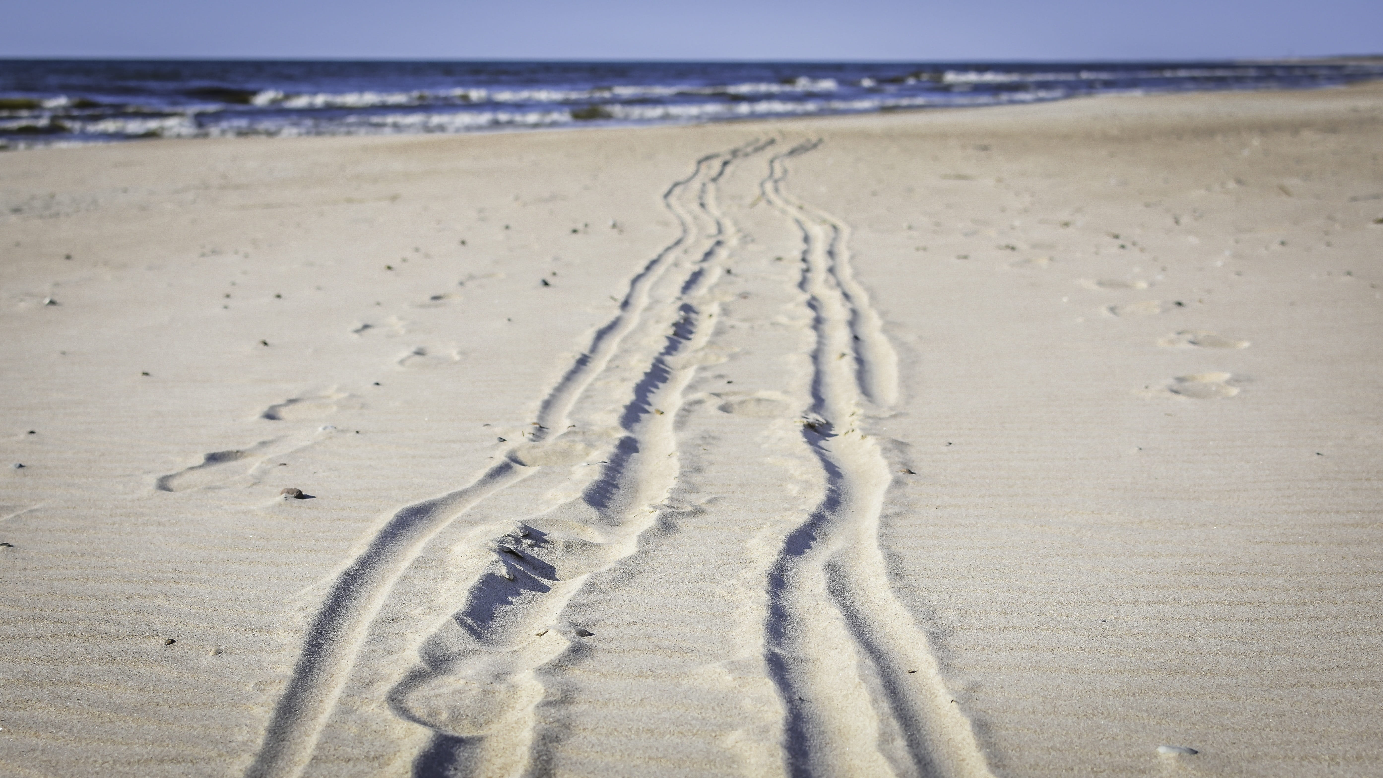 horizon, afternoon, day, tranquility, reprint, trail, outdoors, beach, land, no people, seashore, seascape, baltic sea, travel, track - imprint, leaving, HD Wallpaper