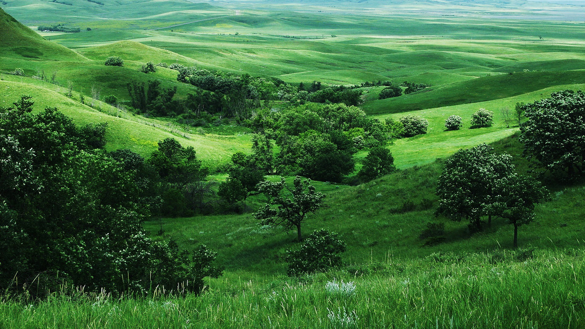 environment, cloud, clouds, sky, country, hill, no people, scenery, wilderness, nature, water, summer, natural depression, mountains, non-urban scene, plant, HD Wallpaper