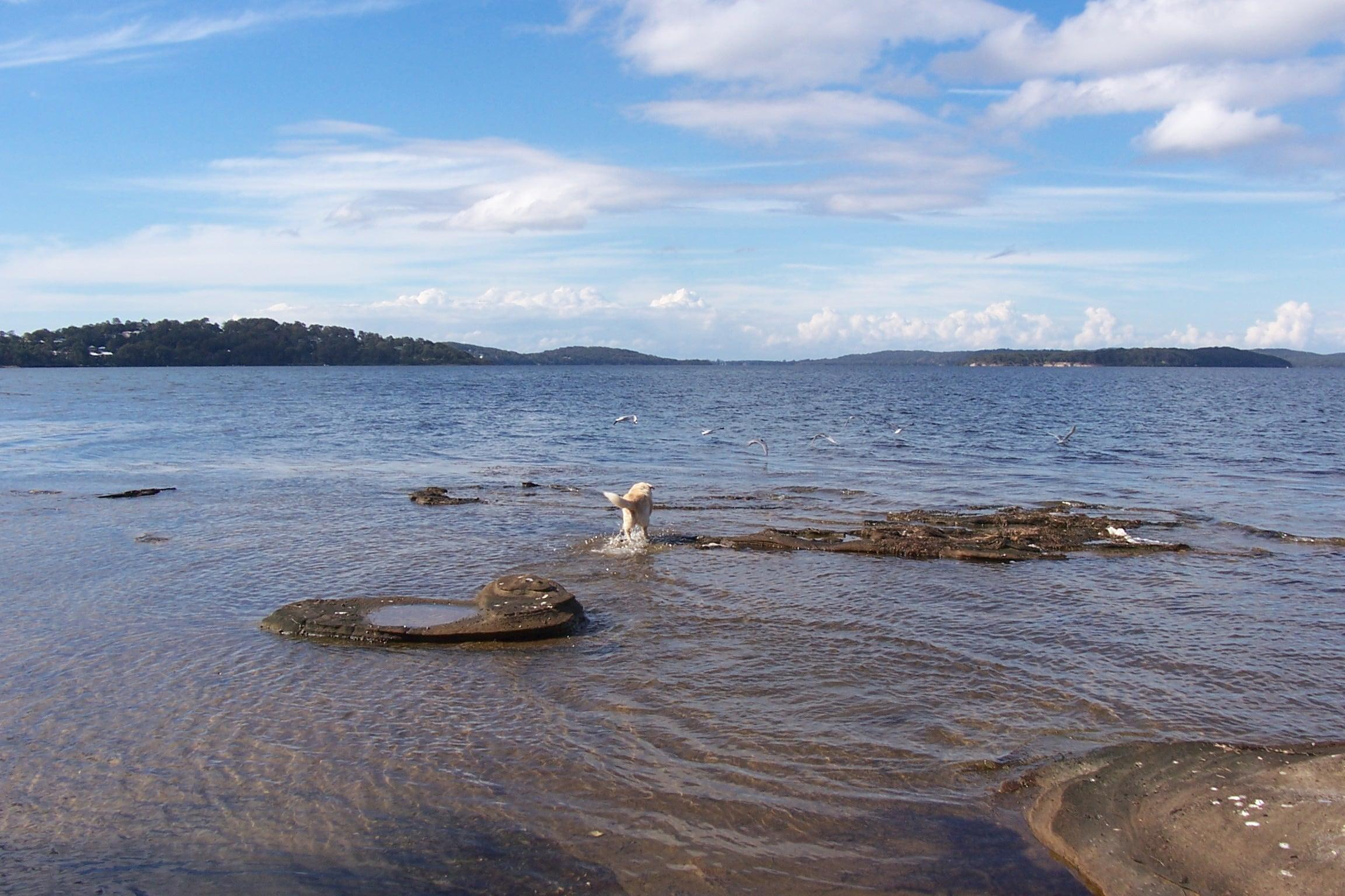 nature, waves, aussie, lake, beautiful, water, nature and landscapes, 1080P, macquarie, HD Wallpaper