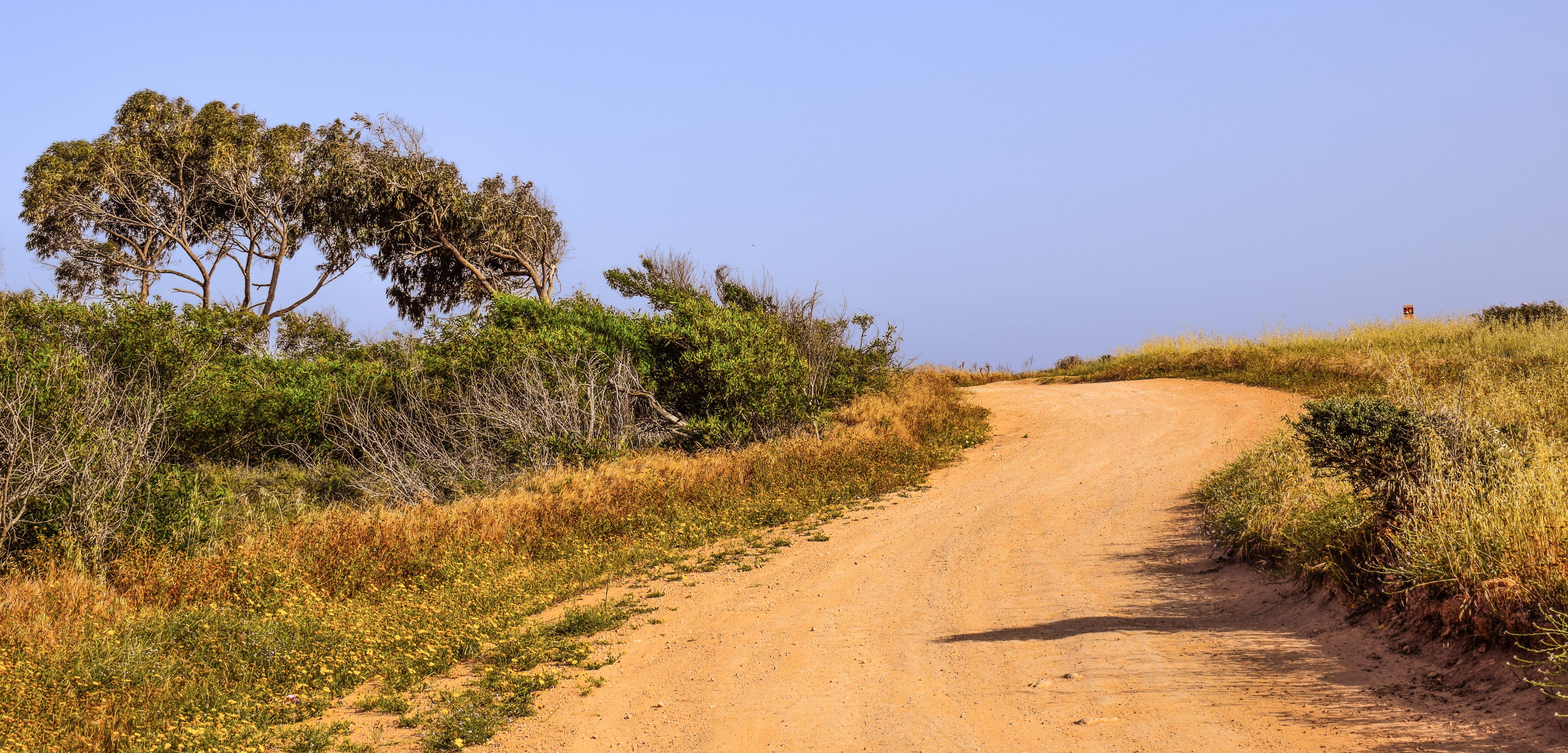 nature, non-urban scene, no People, scenics, summer, travel Locations, plant, beauty in nature, cavo greko, landscapes, land, environment, sky, 5K, Dirt Road, HD Wallpaper