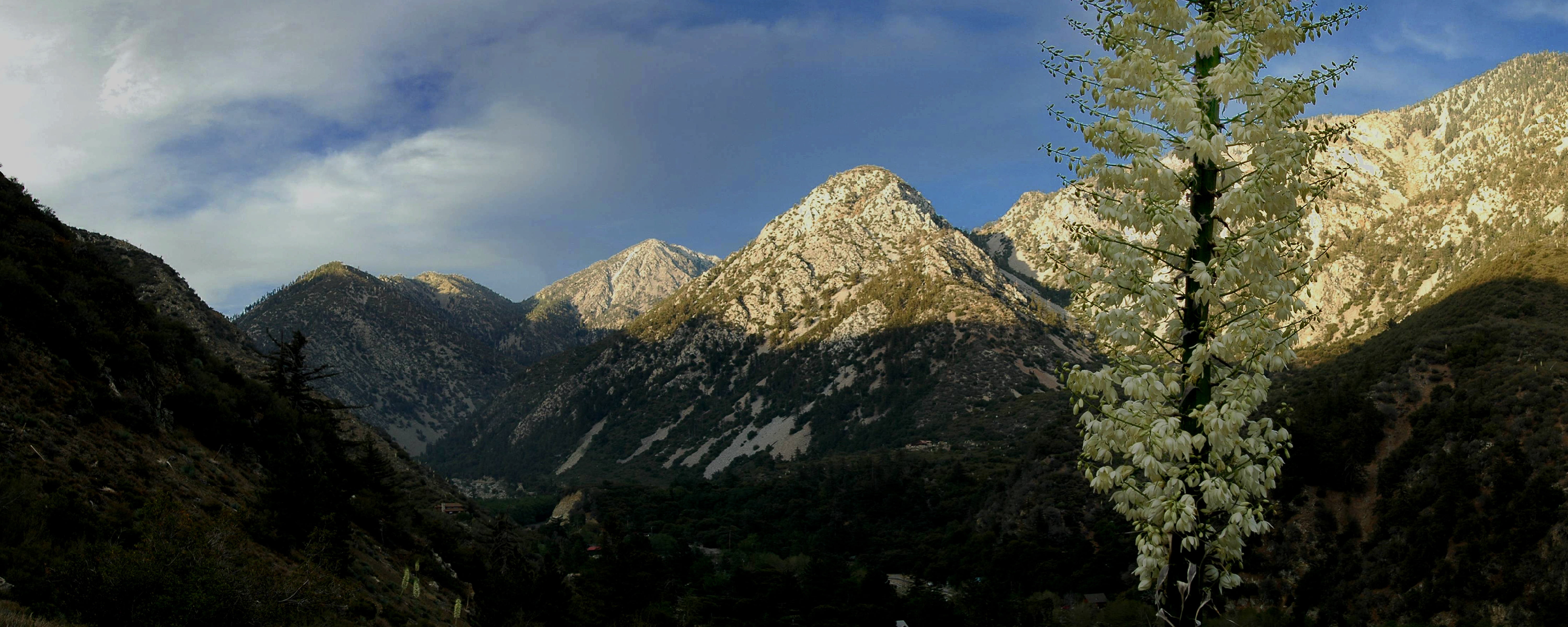 mountain range, mountain peak, sky, cloud - sky, mountain, plant, nature, land, coniferous tree, rock, environment, panoramic, california, solid, pine tree, HD Wallpaper