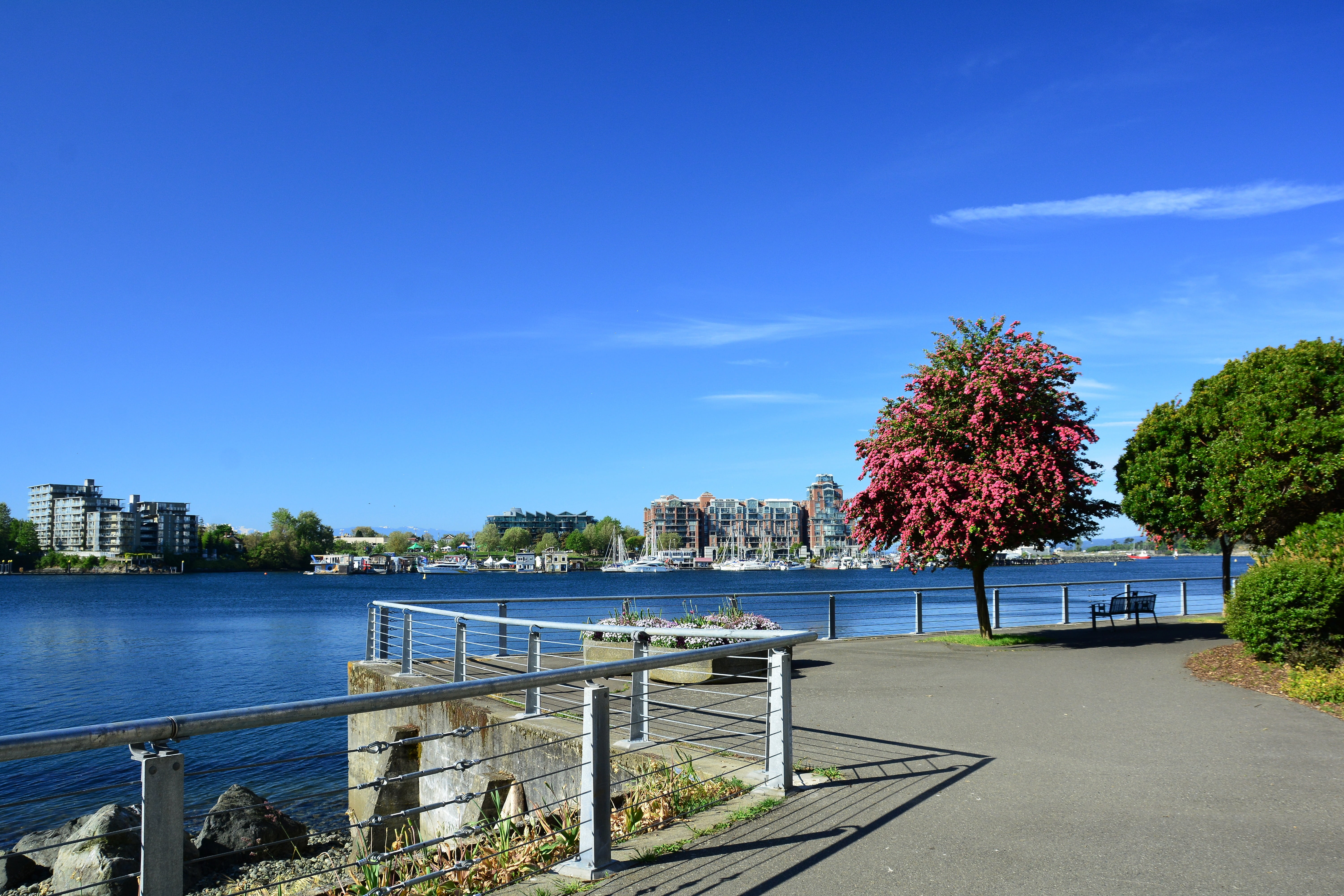 building exterior, footpath, cityscape, blue, city, architecture, built structure, trail, walking, path, columbia, day, bc, walkway, urban Scene, railing, HD Wallpaper