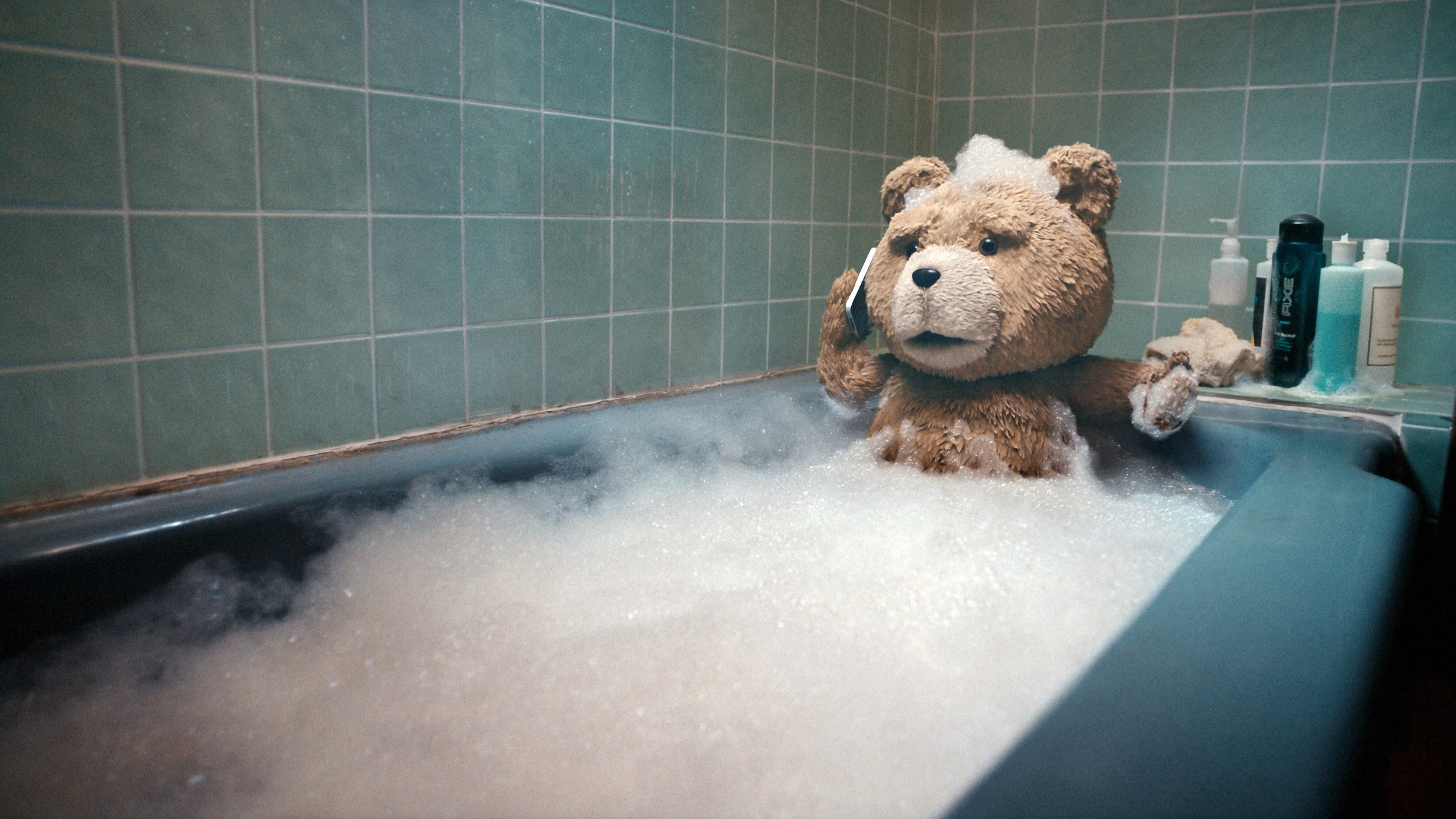 Ted, Movie, Ted (Movie Character), 2K, HD Wallpaper