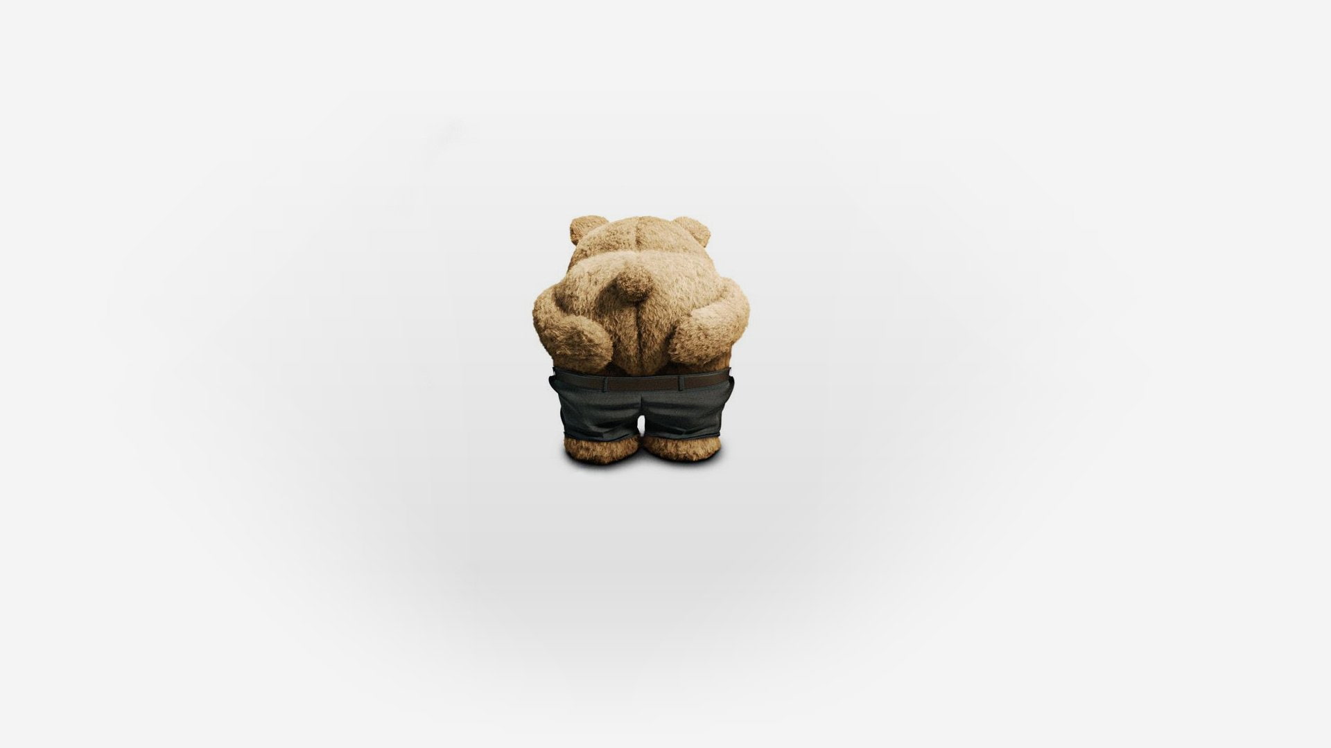 Ted (Movie Character), 1080P, Ted, Movie, HD Wallpaper