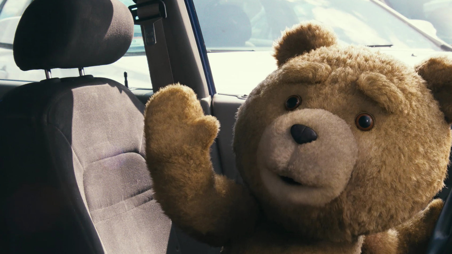 Ted (Movie Character), Movie, Ted, 1080P, HD Wallpaper