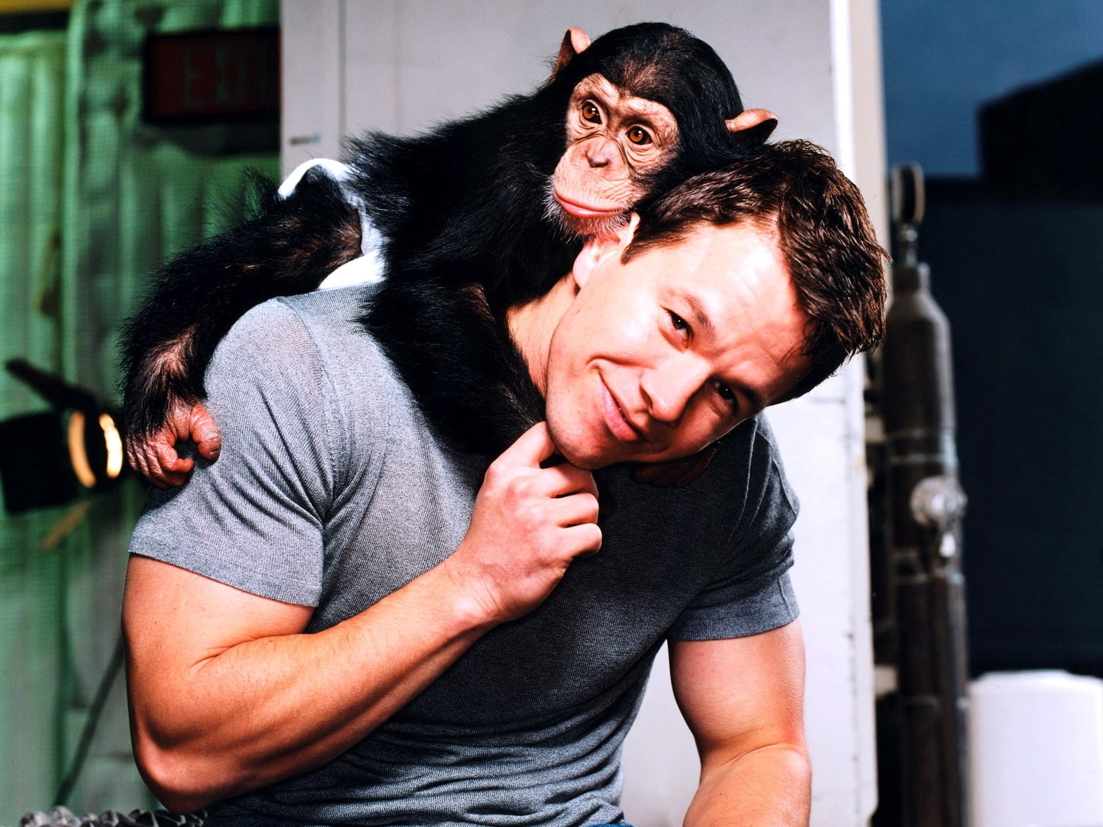 standing, women, mammal, animal wildlife, indoors, cheerful, aggression, adult, color Image, emotion, monkey, two People, vertebrate, mature Adult, mark wahlberg, HD Wallpaper